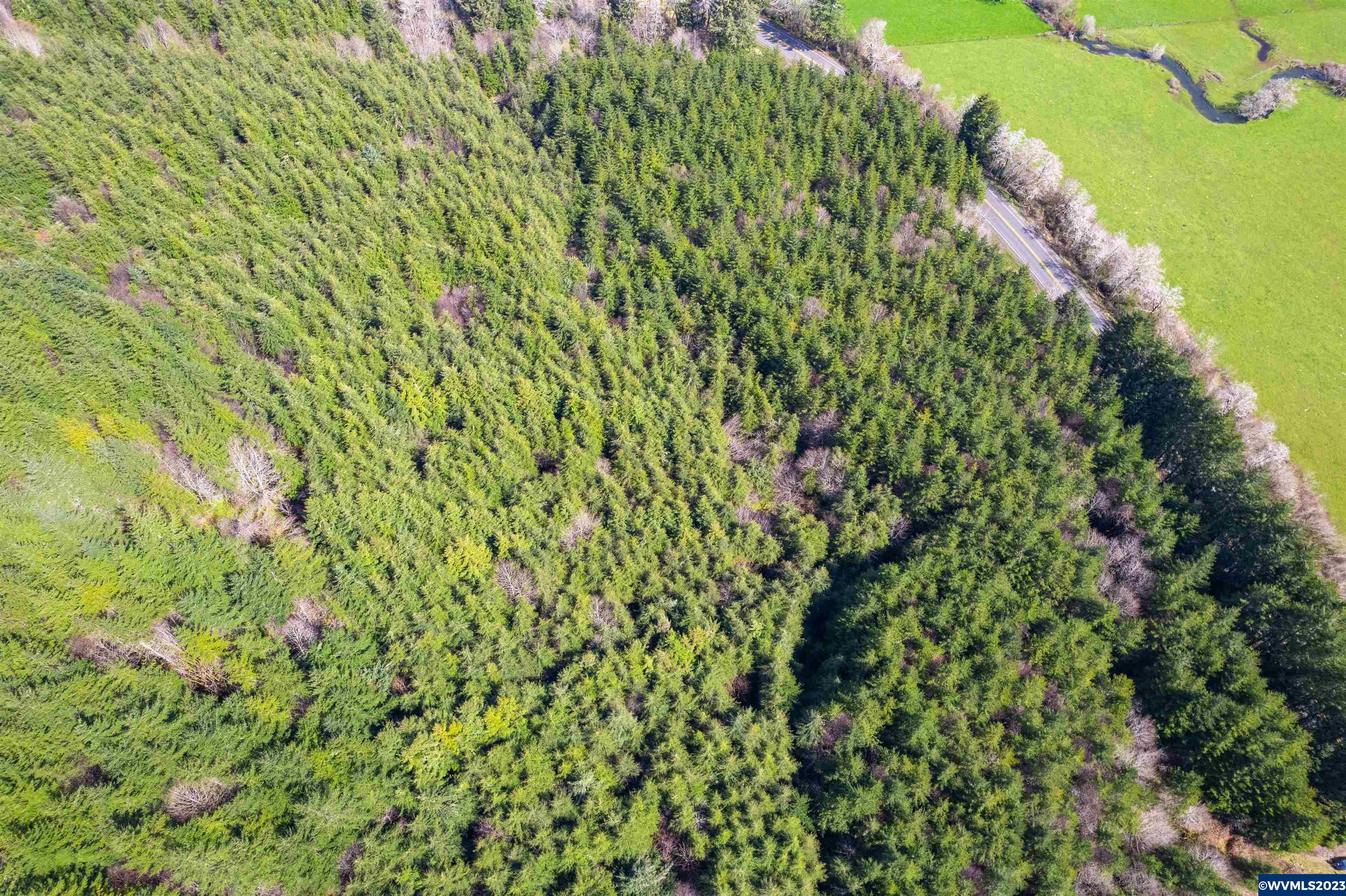 Depot Creek Tree Farm