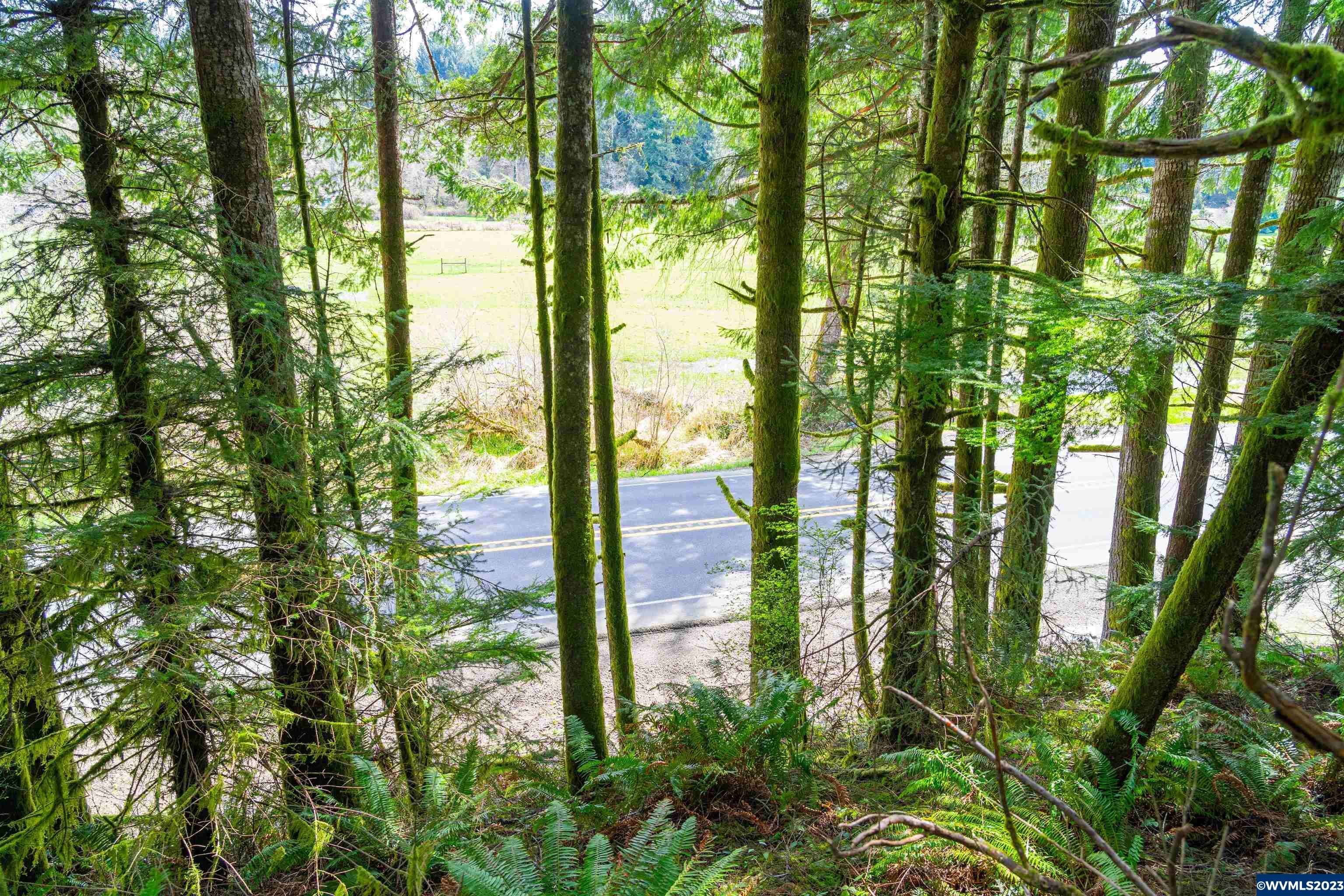 Depot Creek Tree Farm