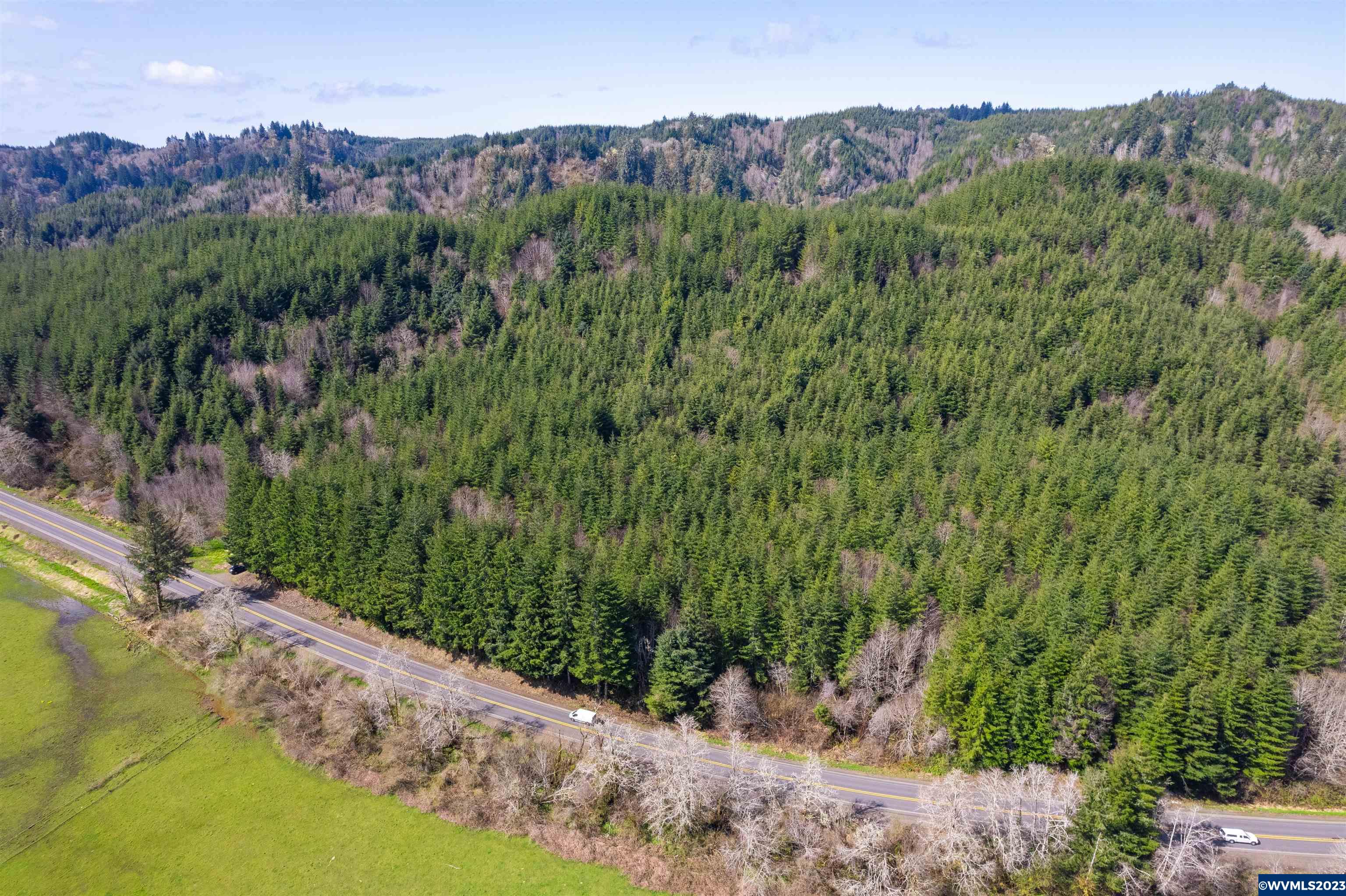 Depot Creek Tree Farm