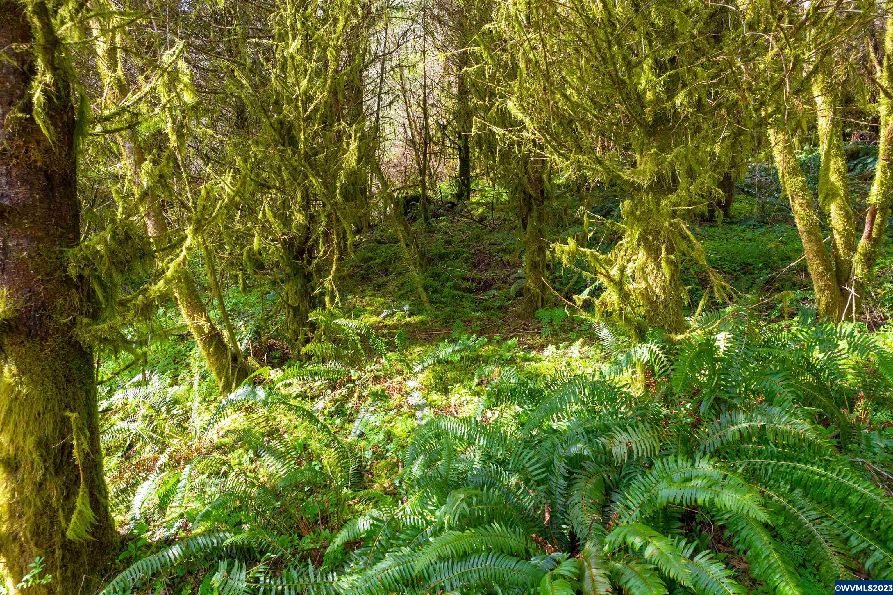 Depot Creek Tree Farm