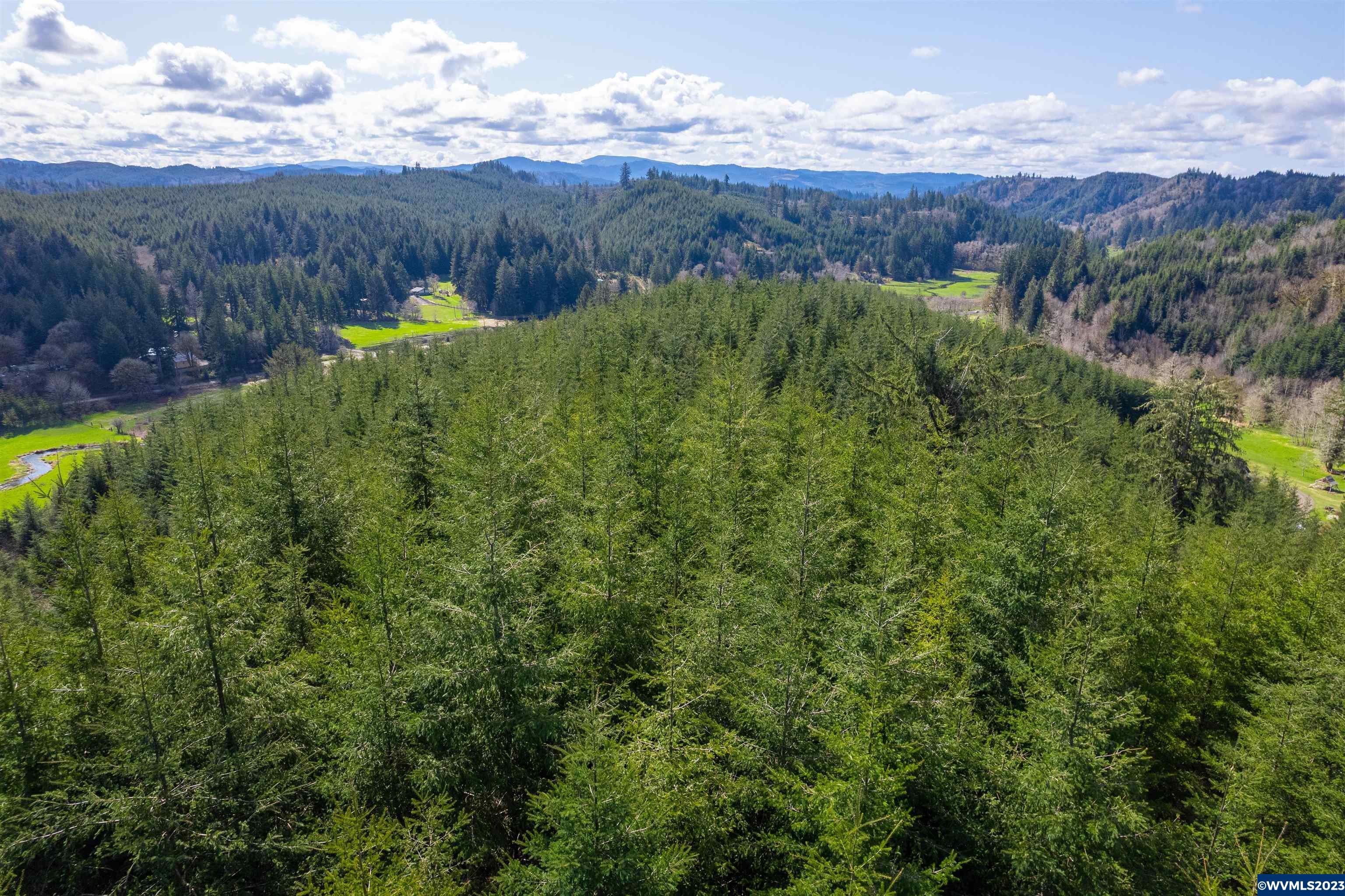 Depot Creek Tree Farm