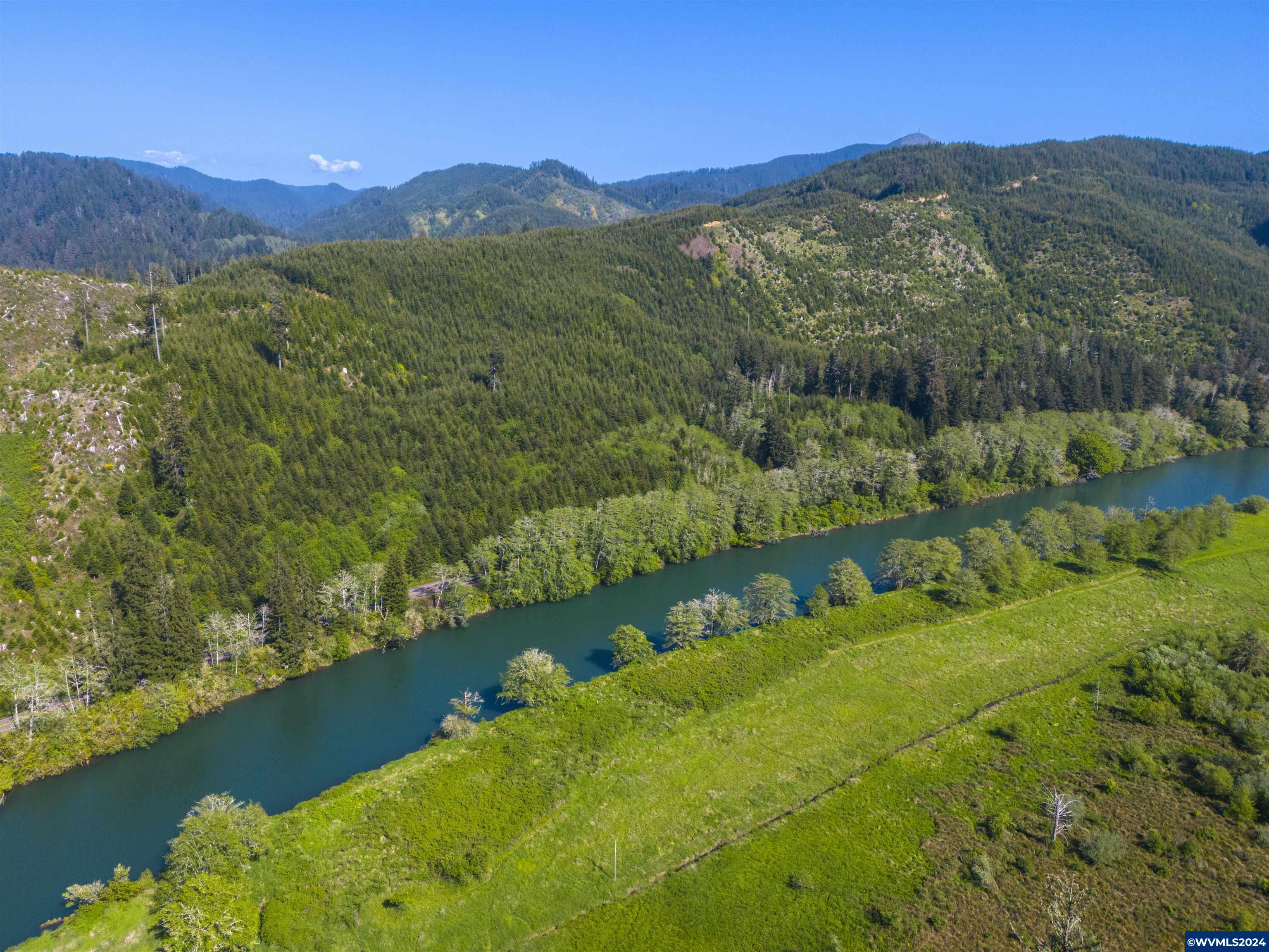 Siletz Highway Red Cedar