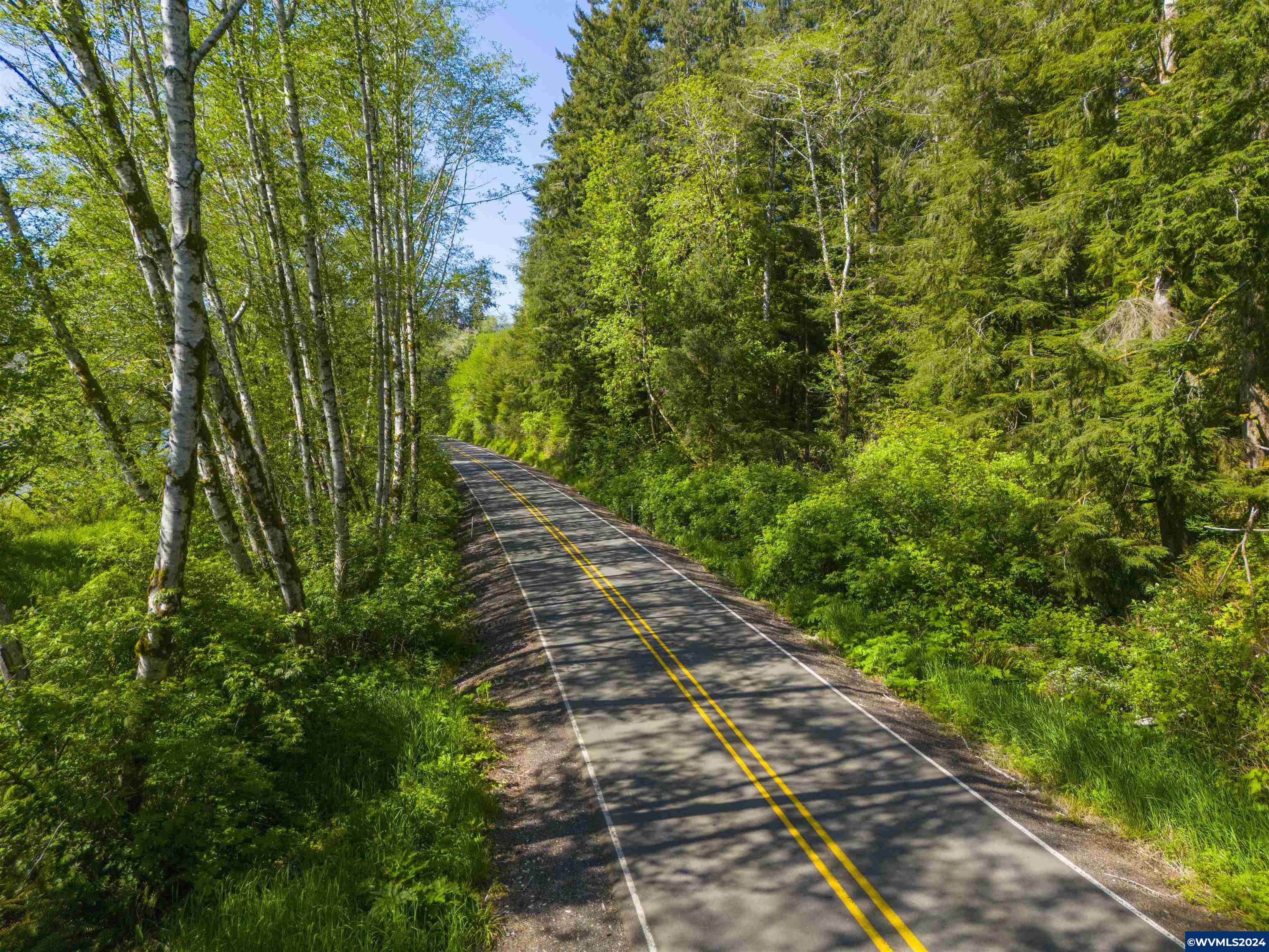 Siletz Highway Red Cedar