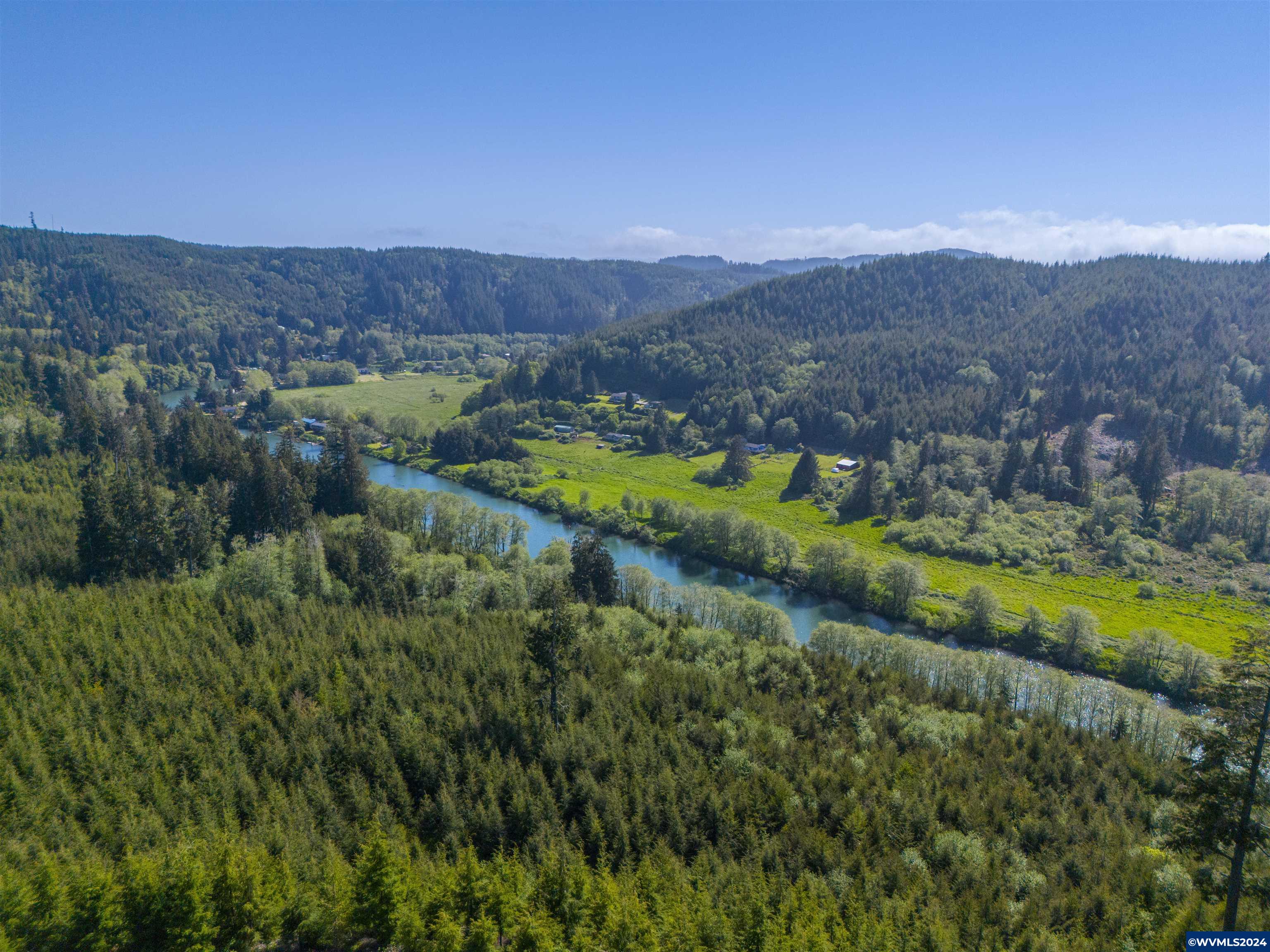 Siletz Highway Red Cedar