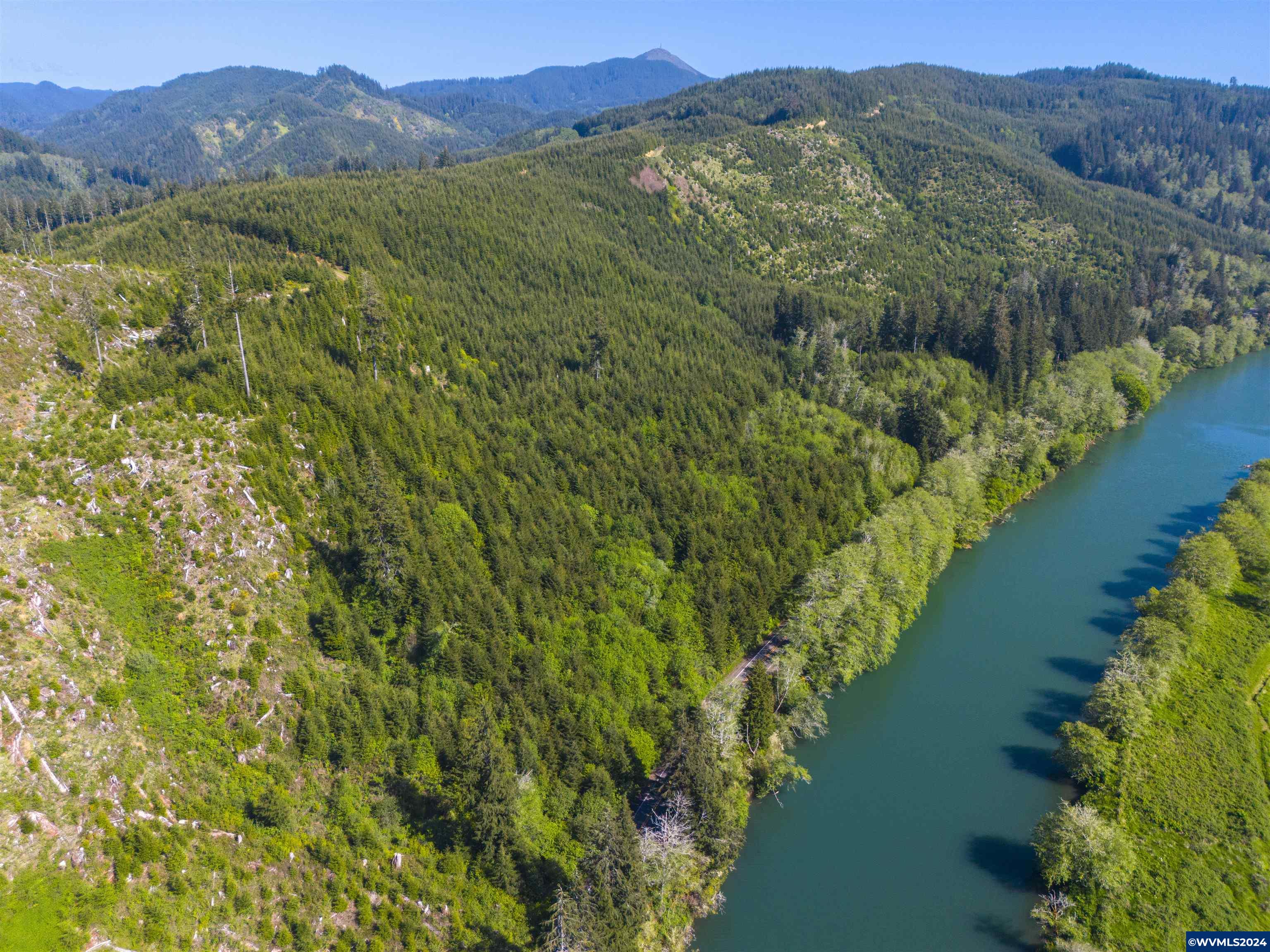Siletz Highway Red Cedar