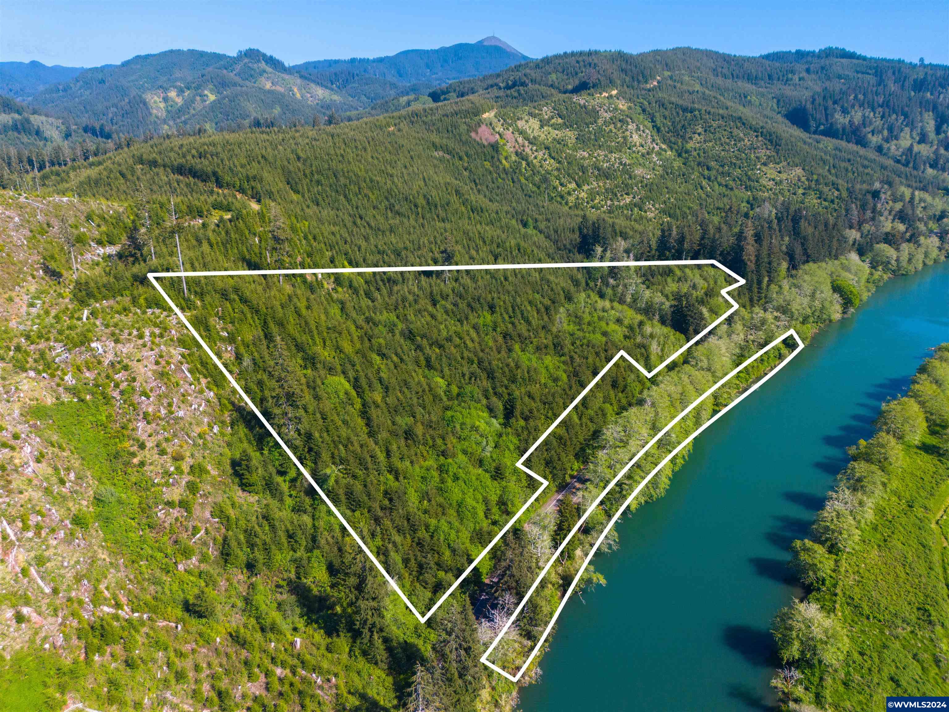 Siletz Highway Red Cedar