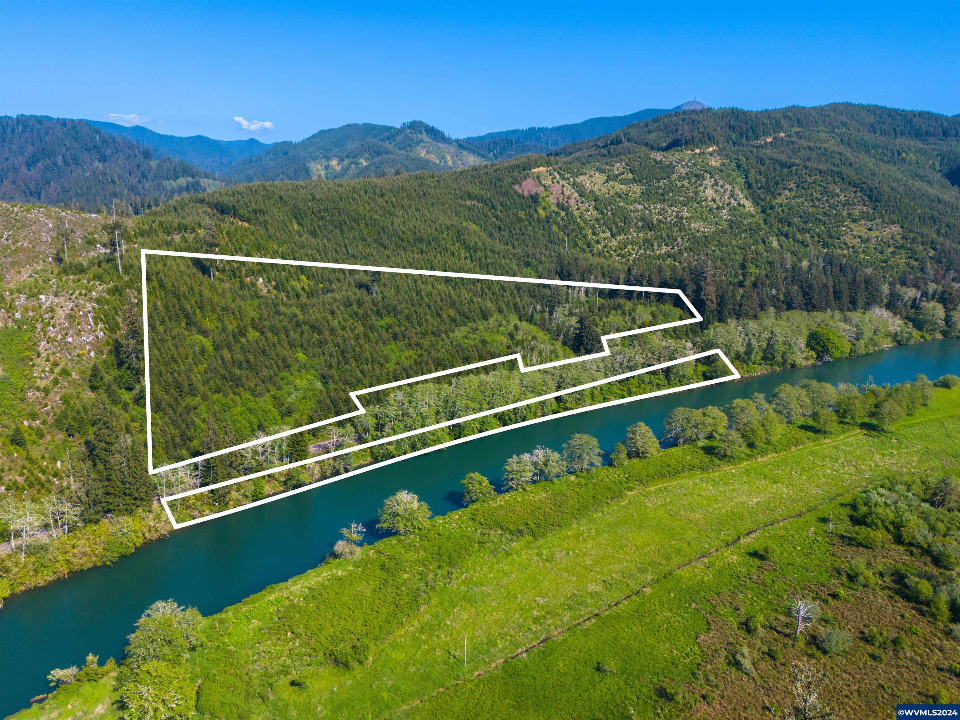 Siletz Highway Red Cedar