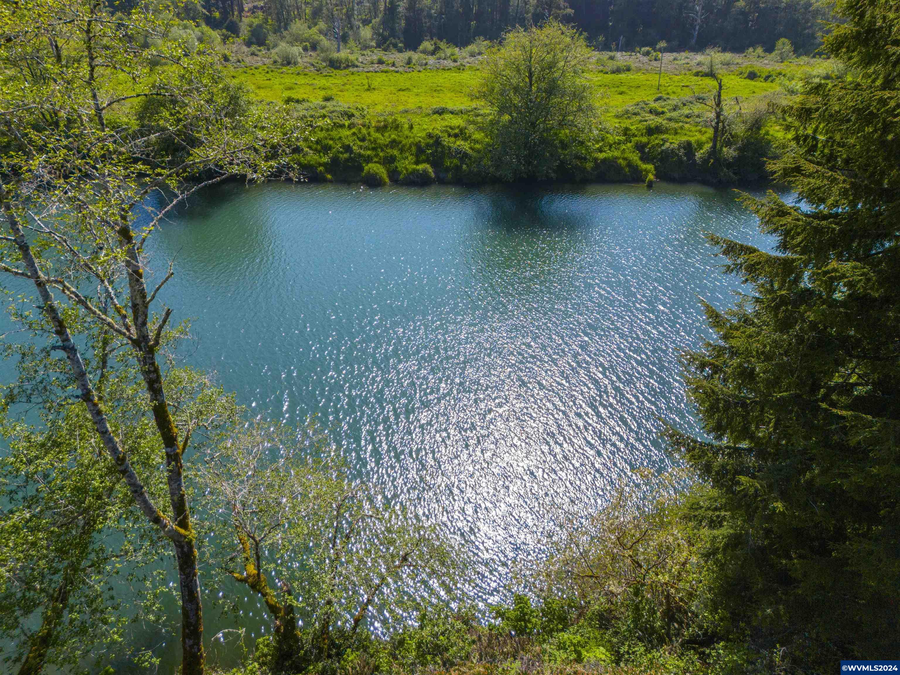 Siletz Highway Red Cedar