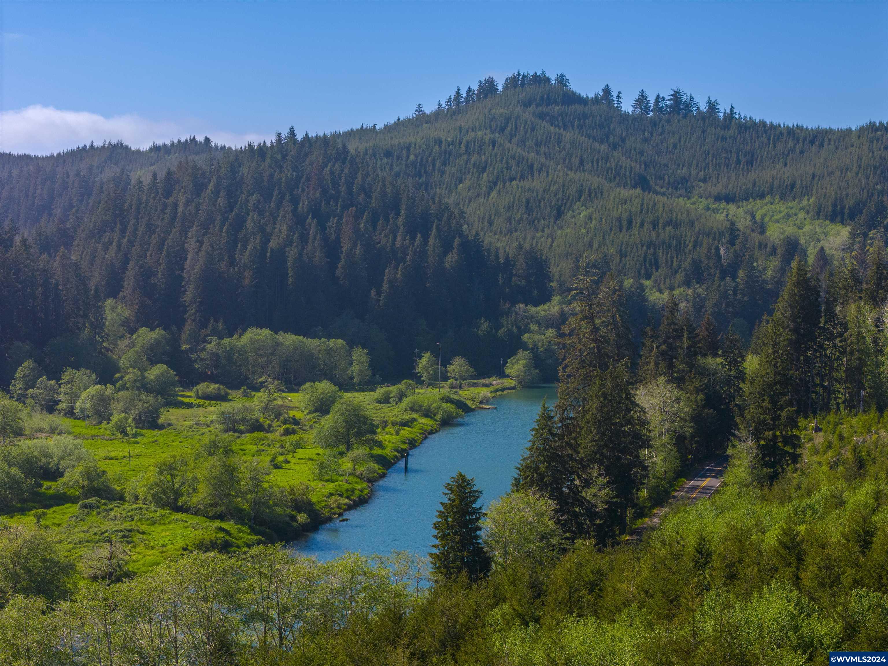 Siletz Highway Red Cedar