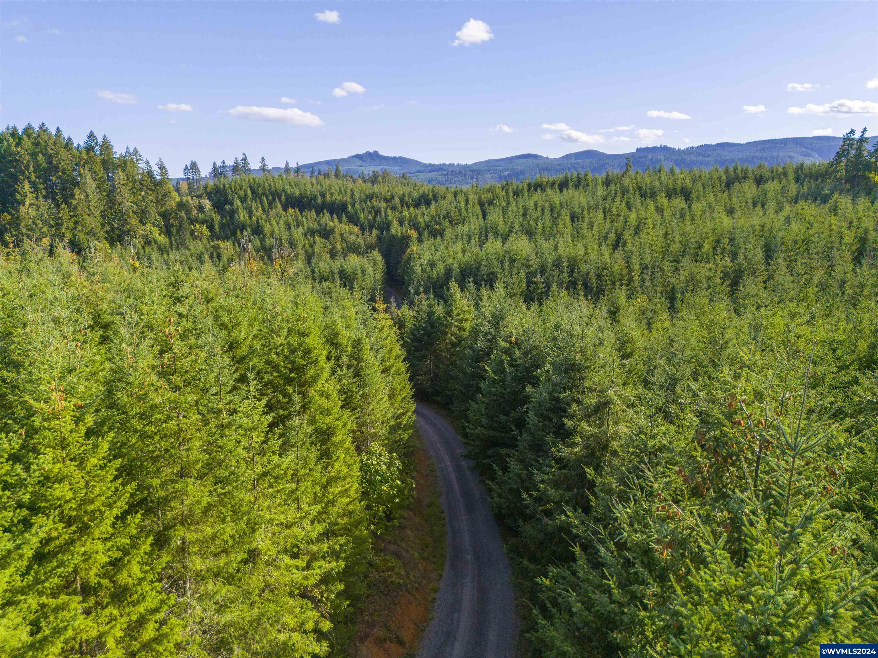 Meadow Lake Treefarm