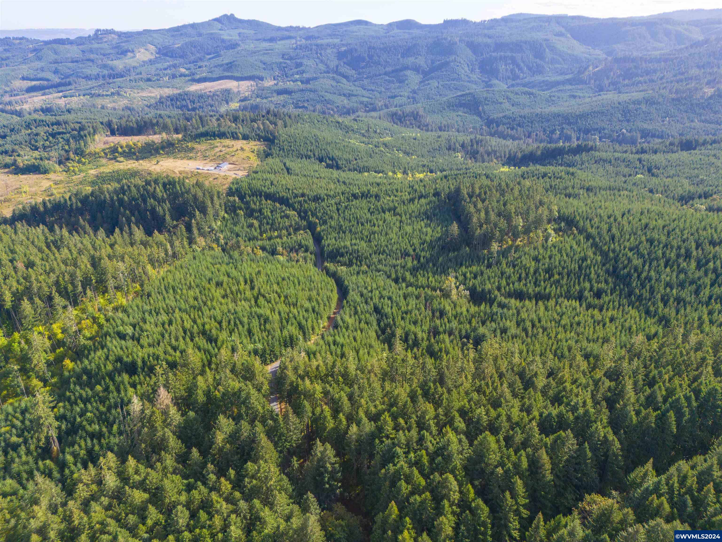 Meadow Lake Treefarm