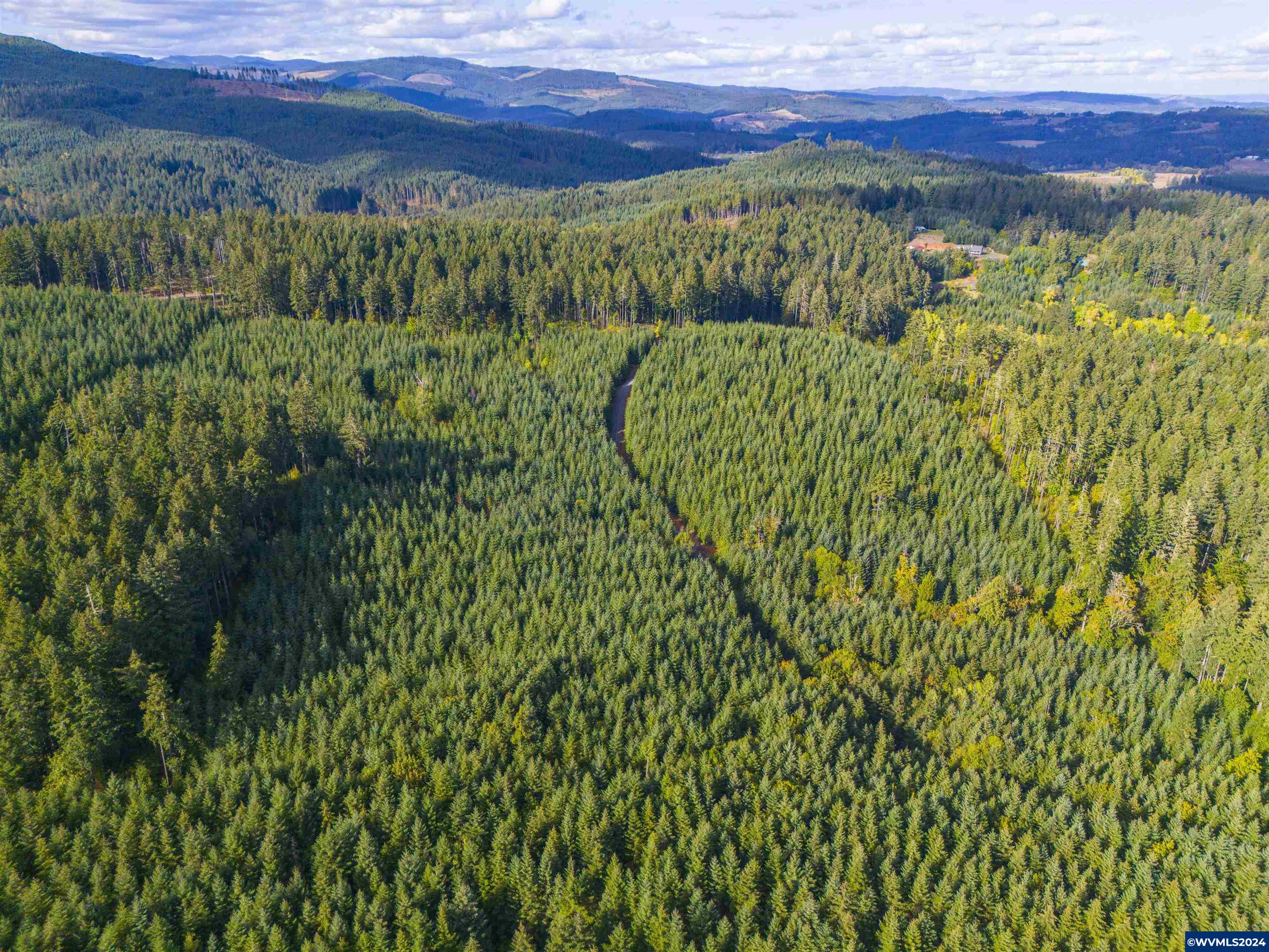 Meadow Lake Treefarm