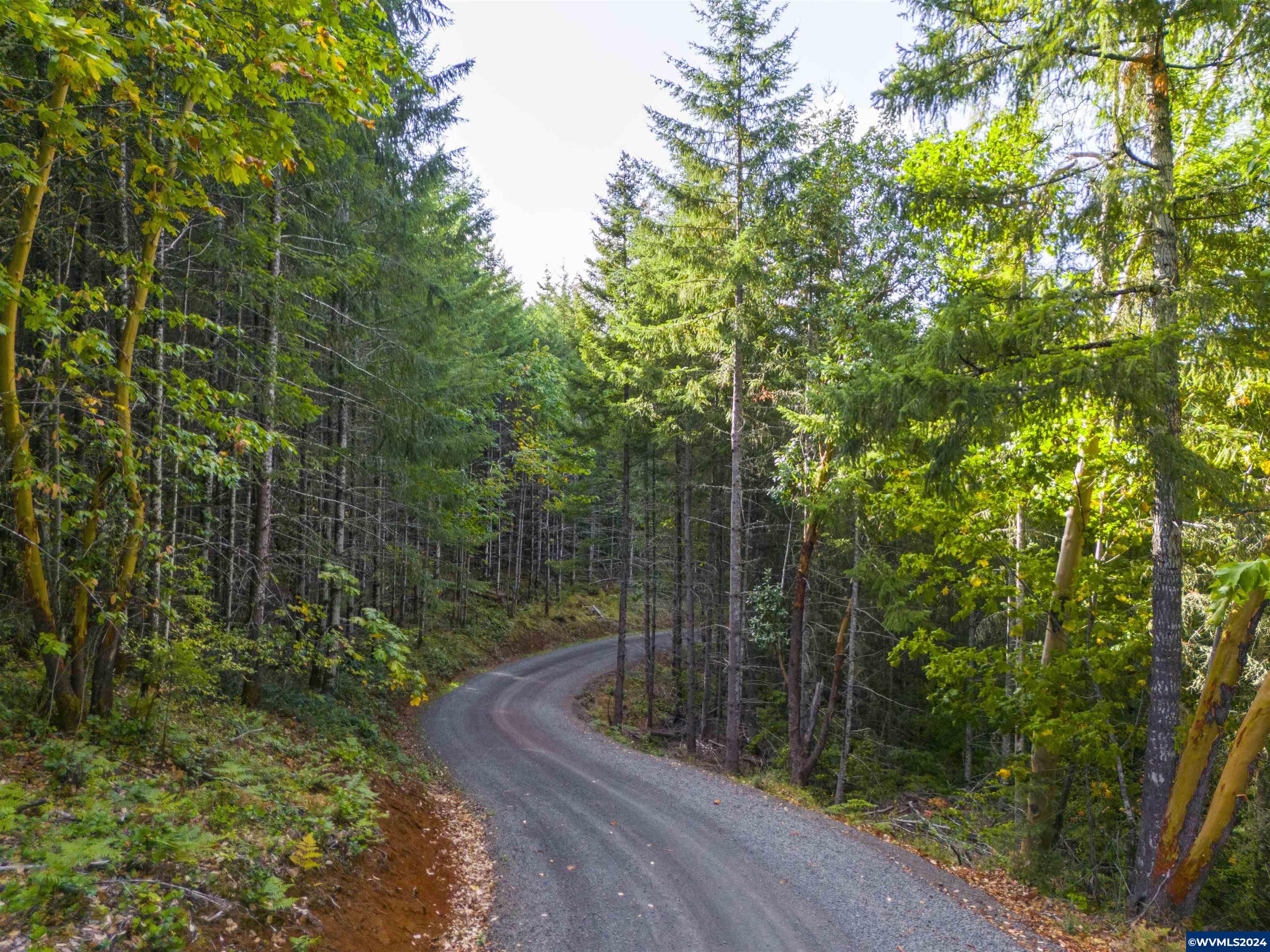 Meadow Lake Treefarm