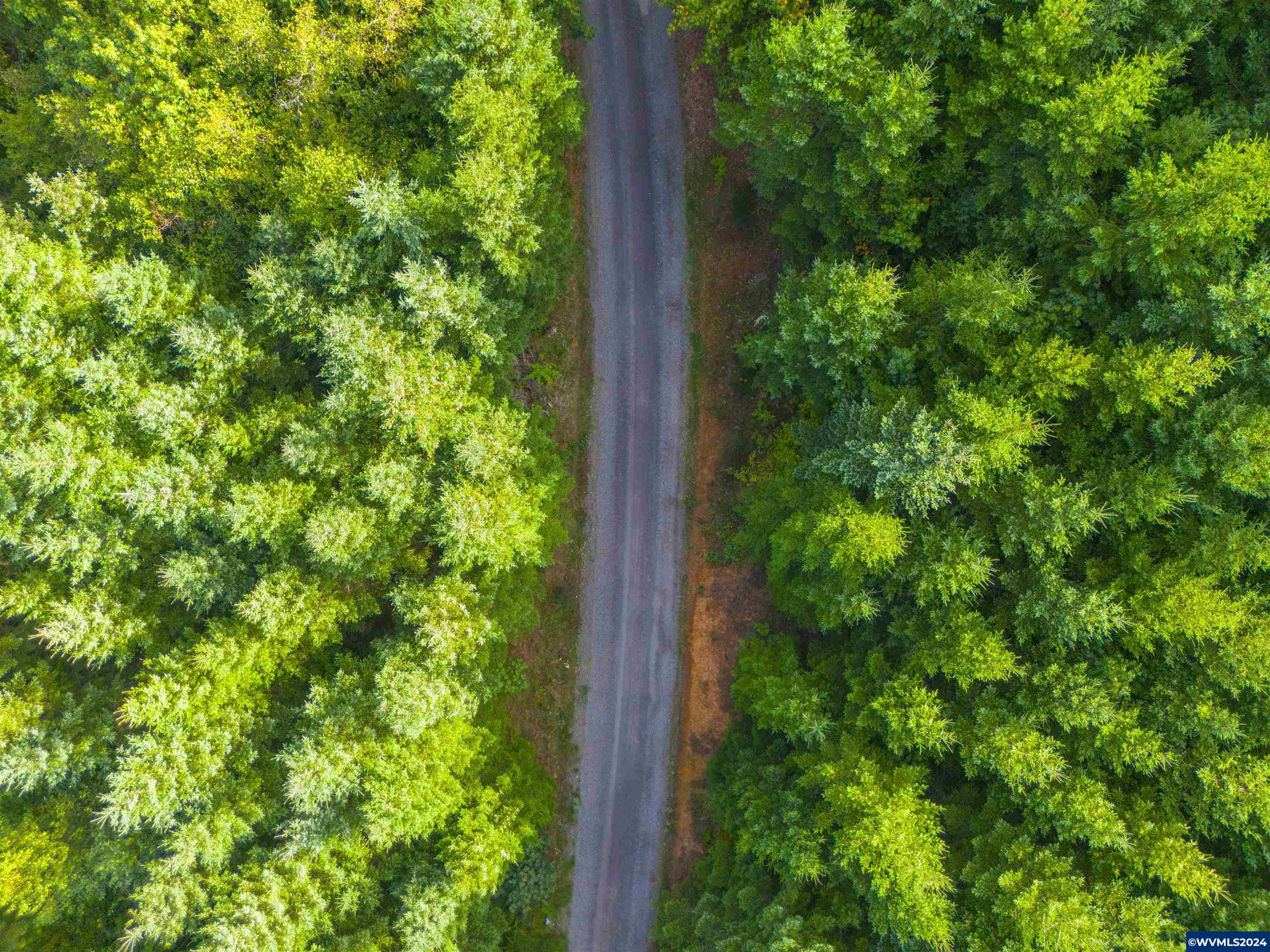 Meadow Lake Treefarm