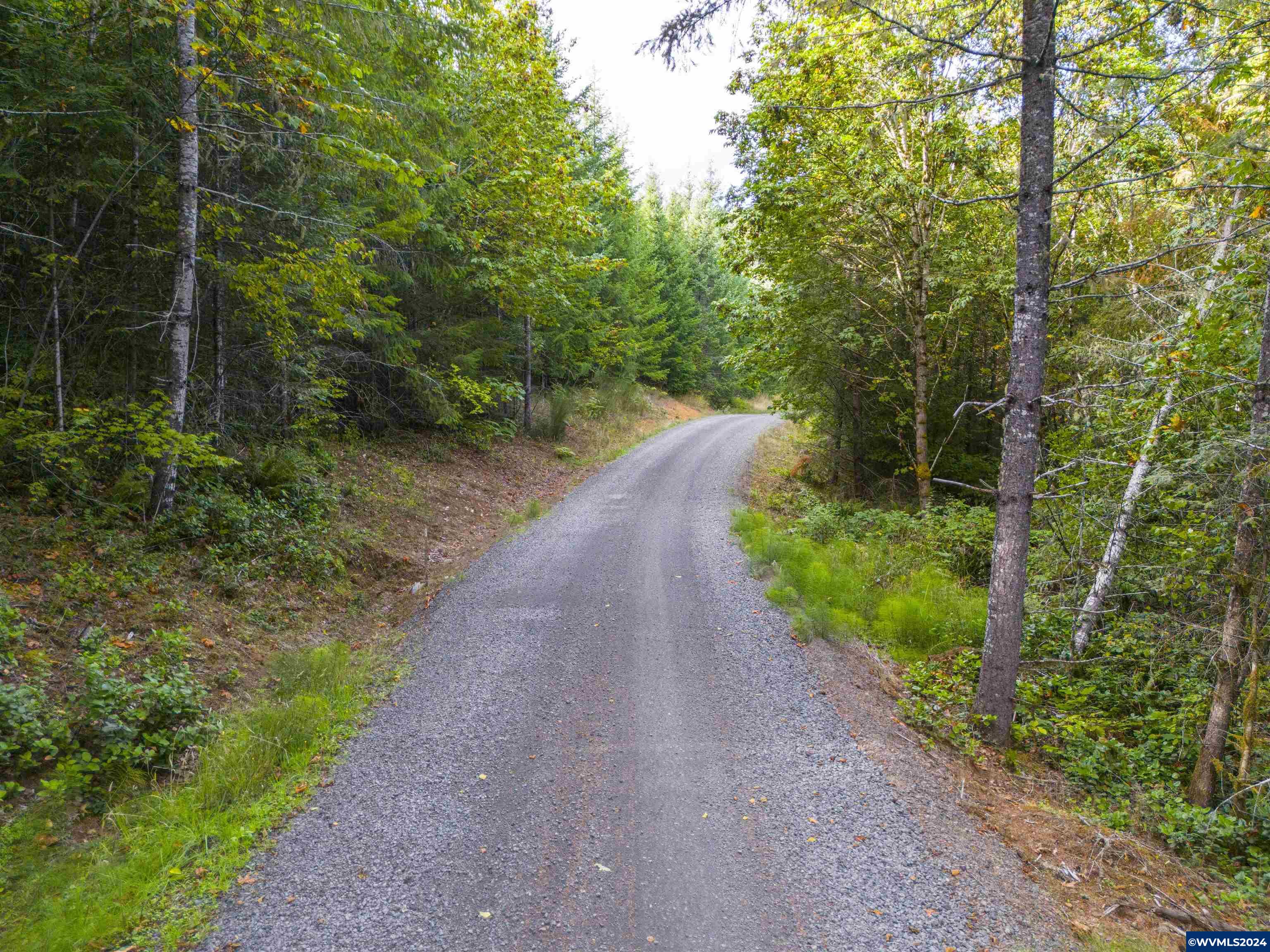 Meadow Lake Treefarm