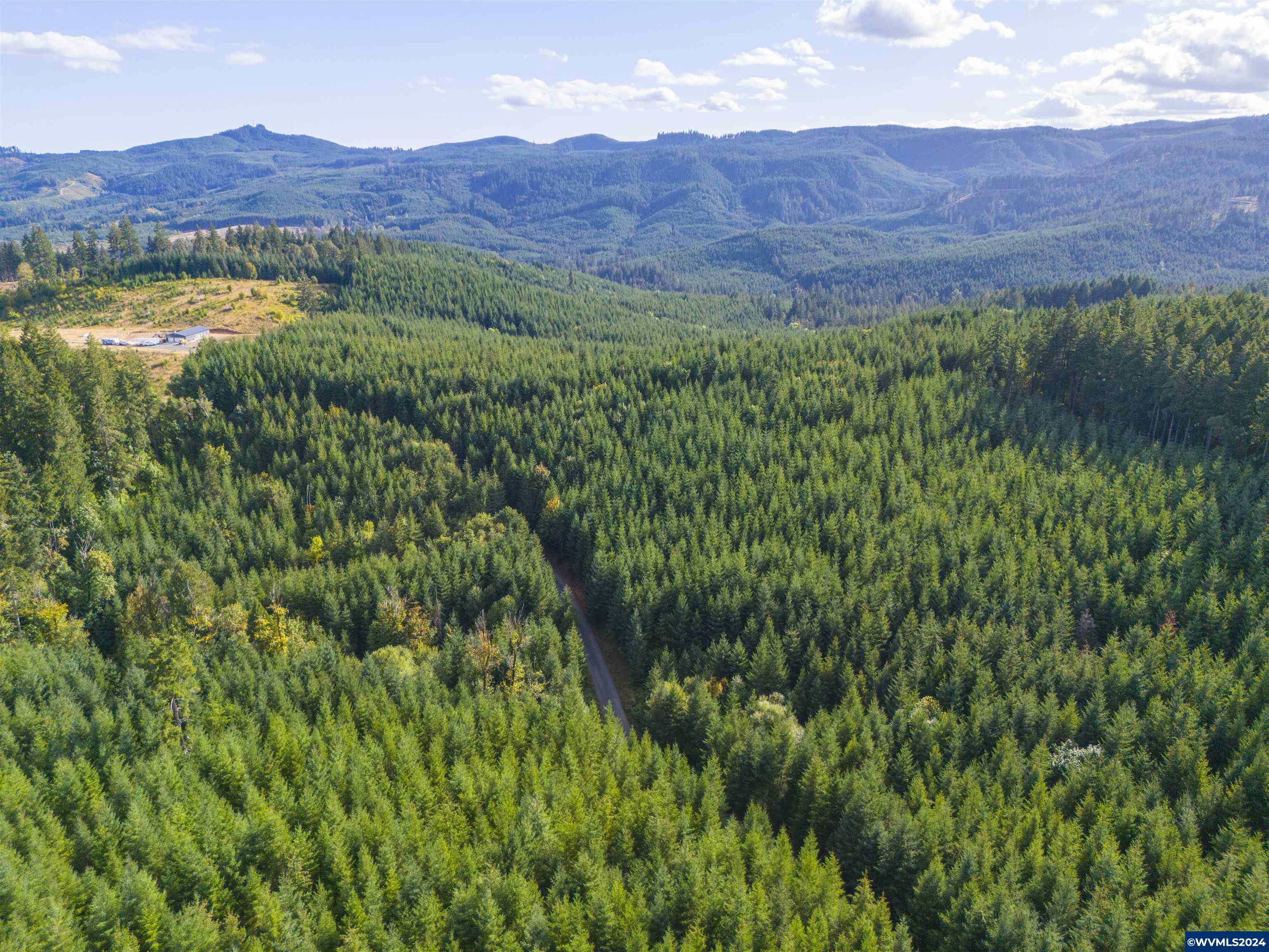 Meadow Lake Treefarm