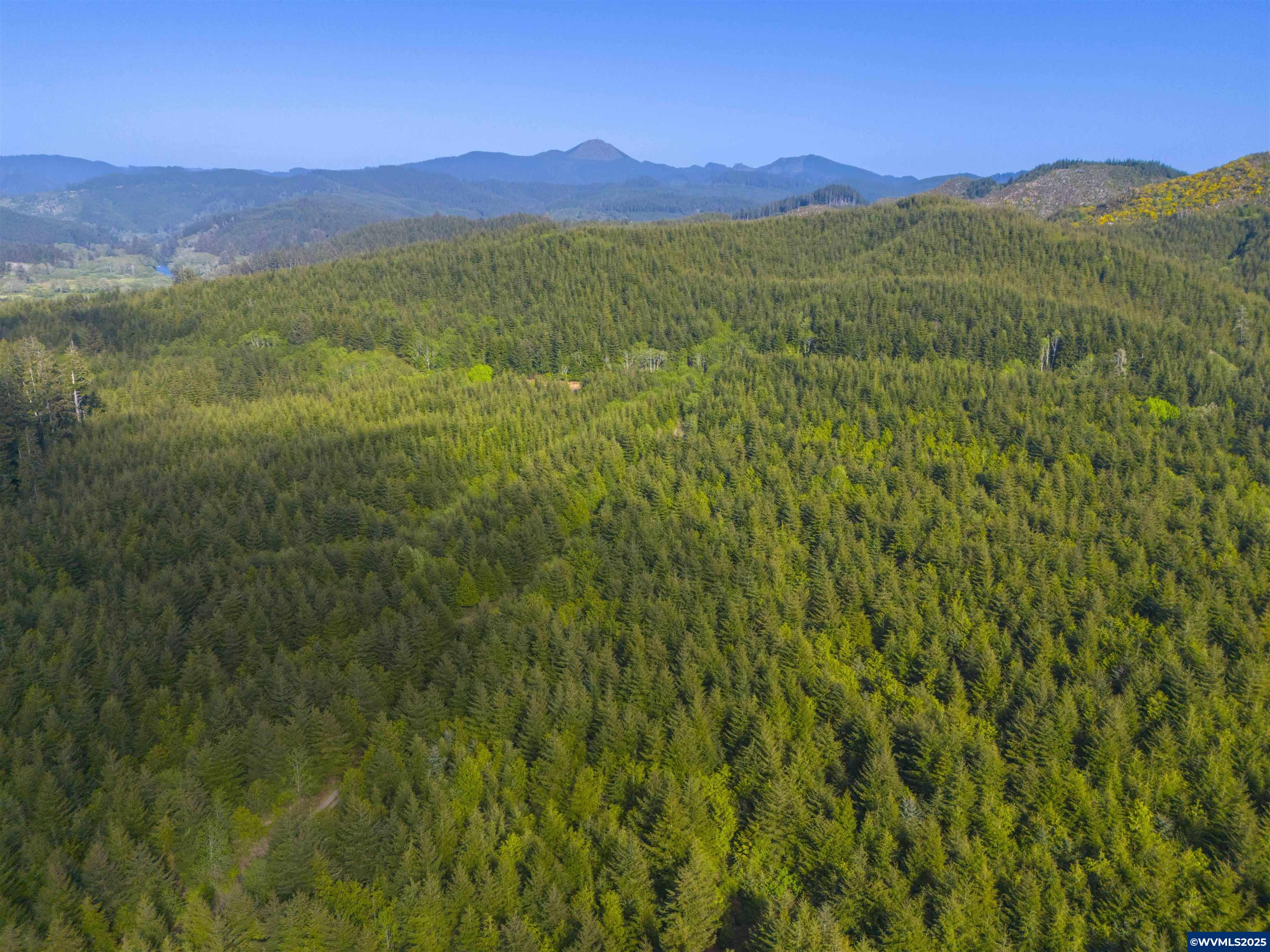 Elmer Miller Rd. Treefarm