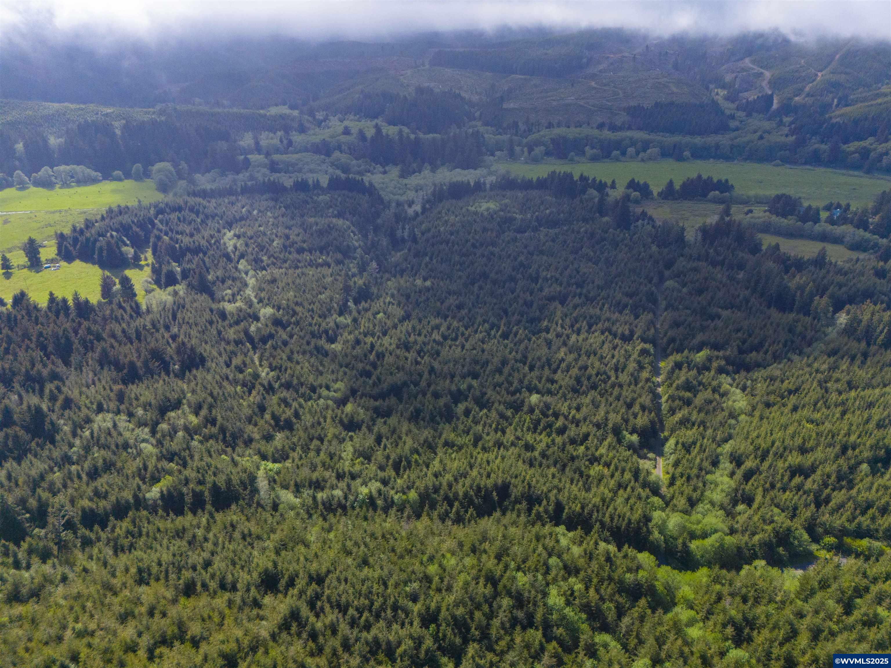 Elmer Miller Rd. Treefarm
