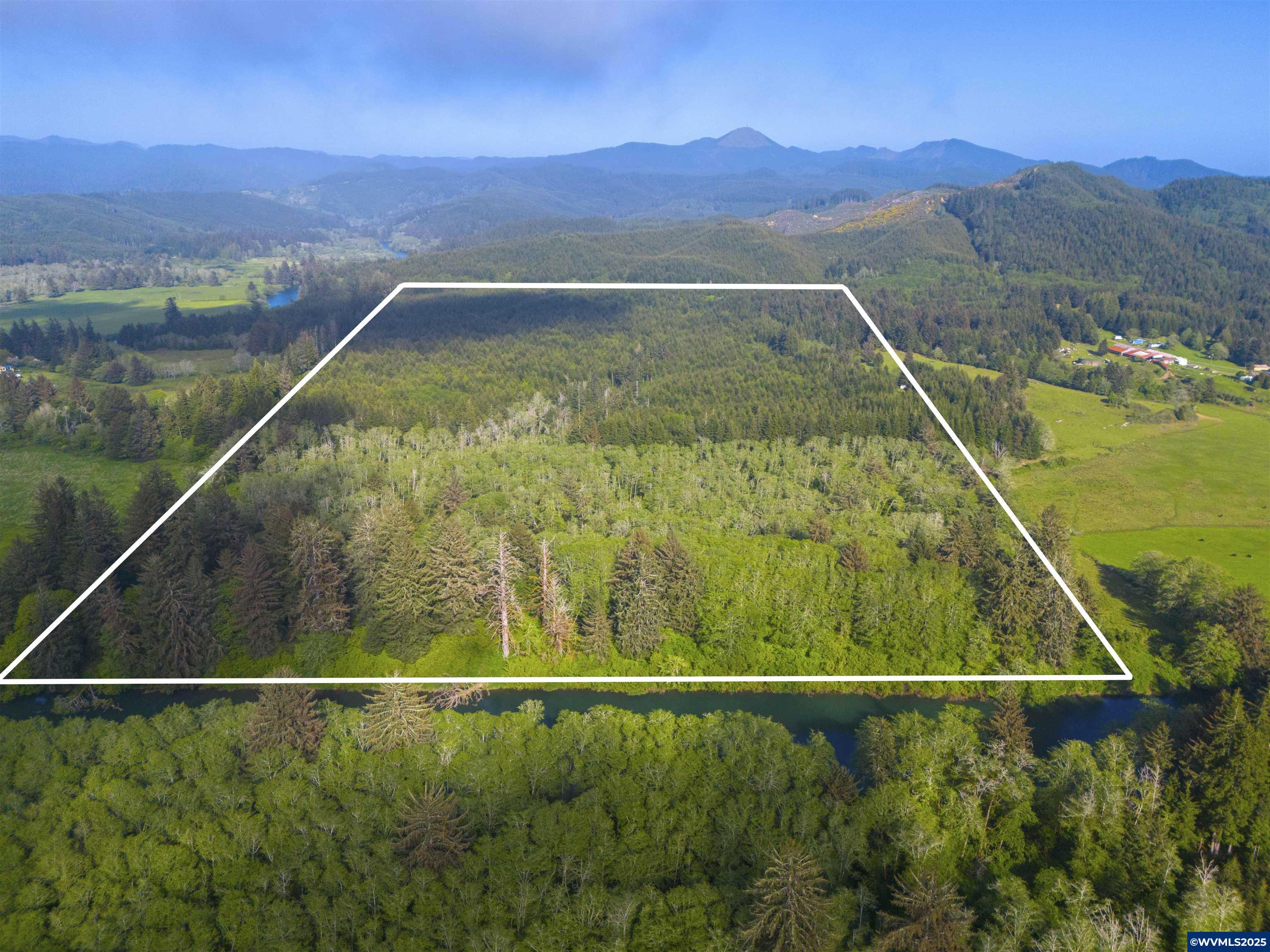 Elmer Miller Rd. Treefarm