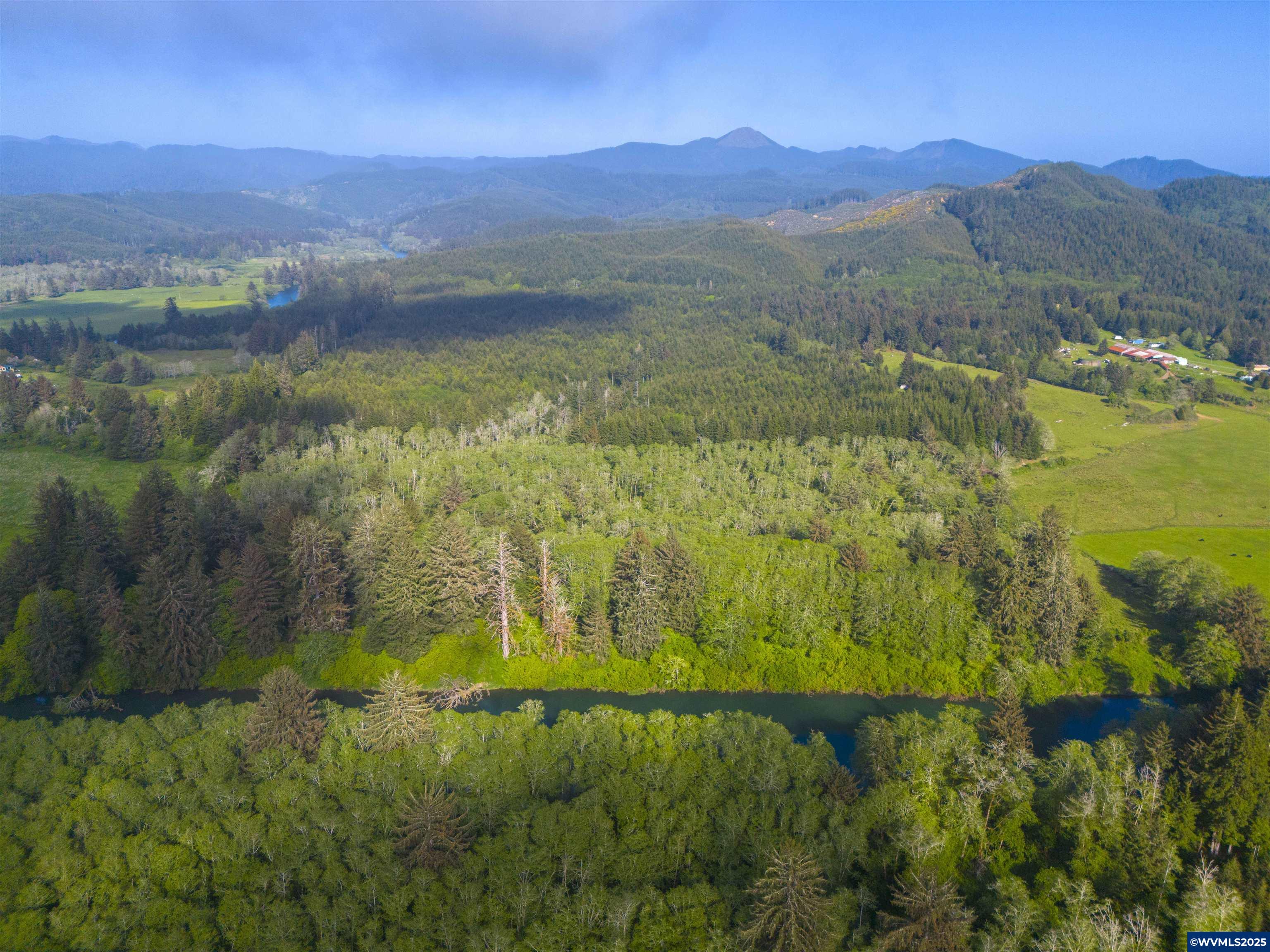 Elmer Miller Rd. Treefarm