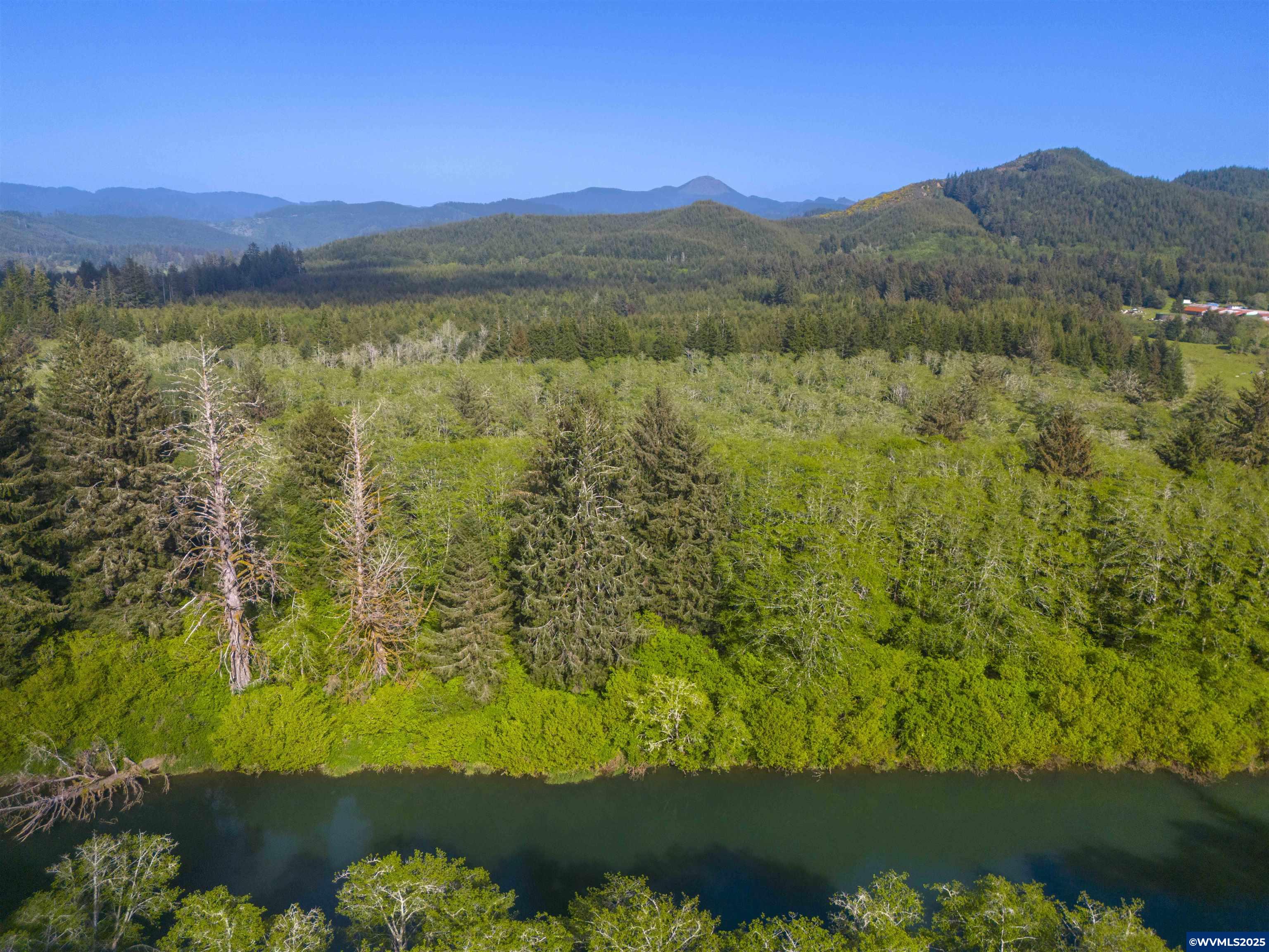 Elmer Miller Rd. Treefarm