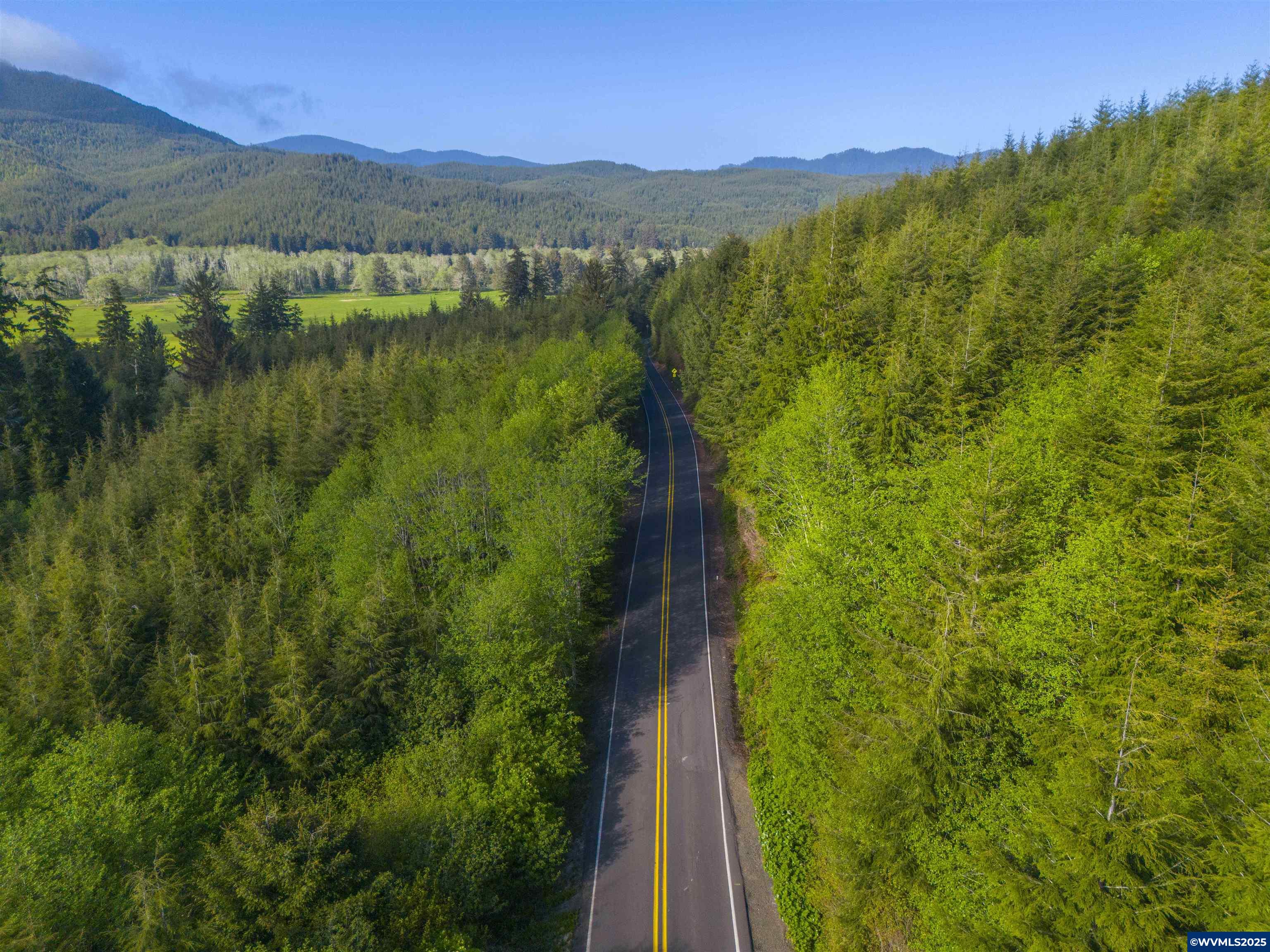 Elmer Miller Rd. Treefarm