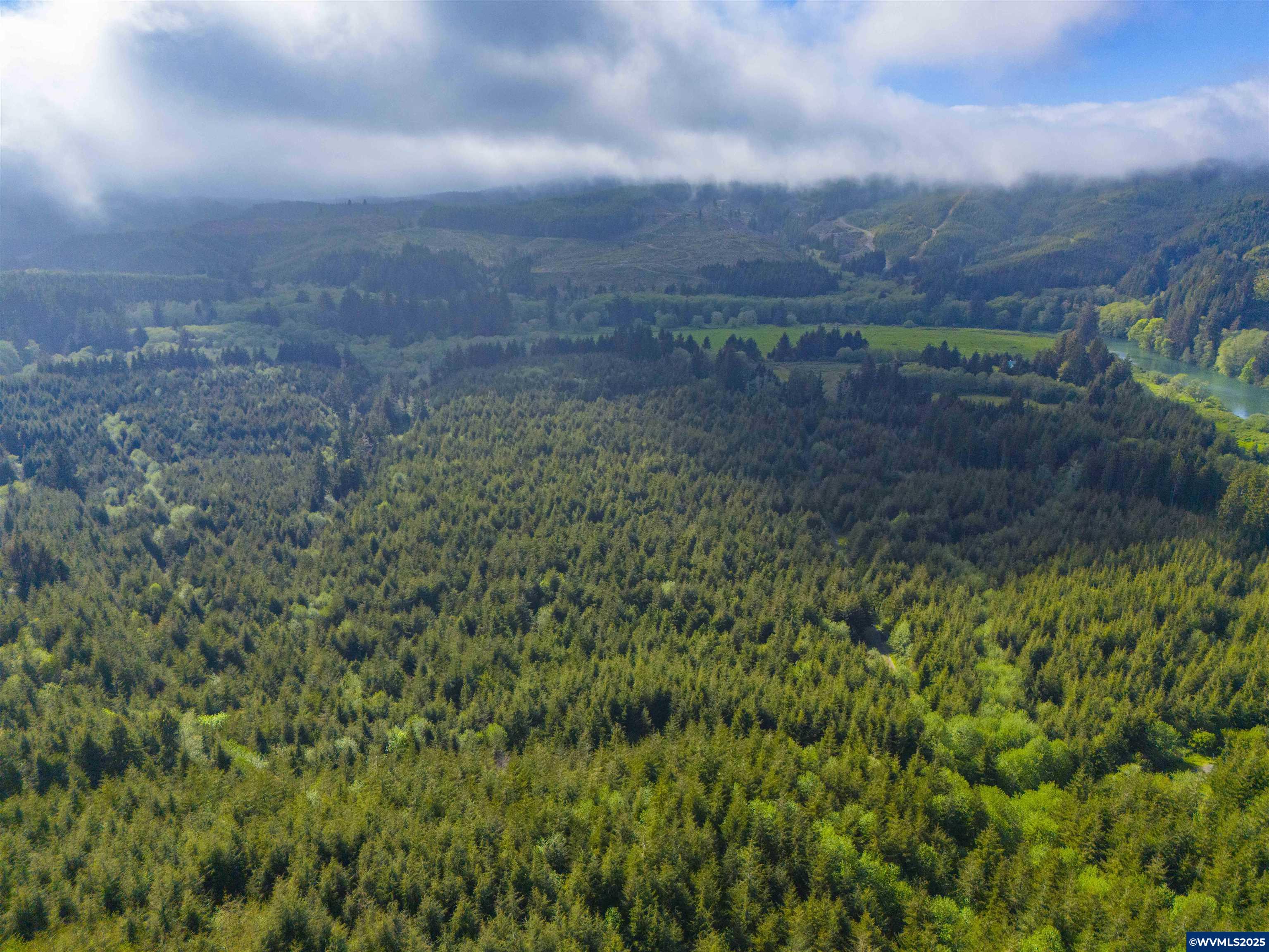 Elmer Miller Rd. Treefarm