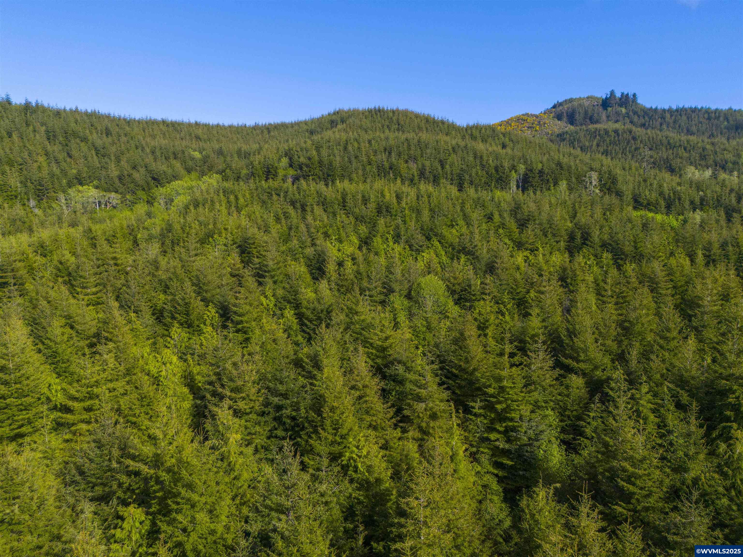 Elmer Miller Rd. Treefarm