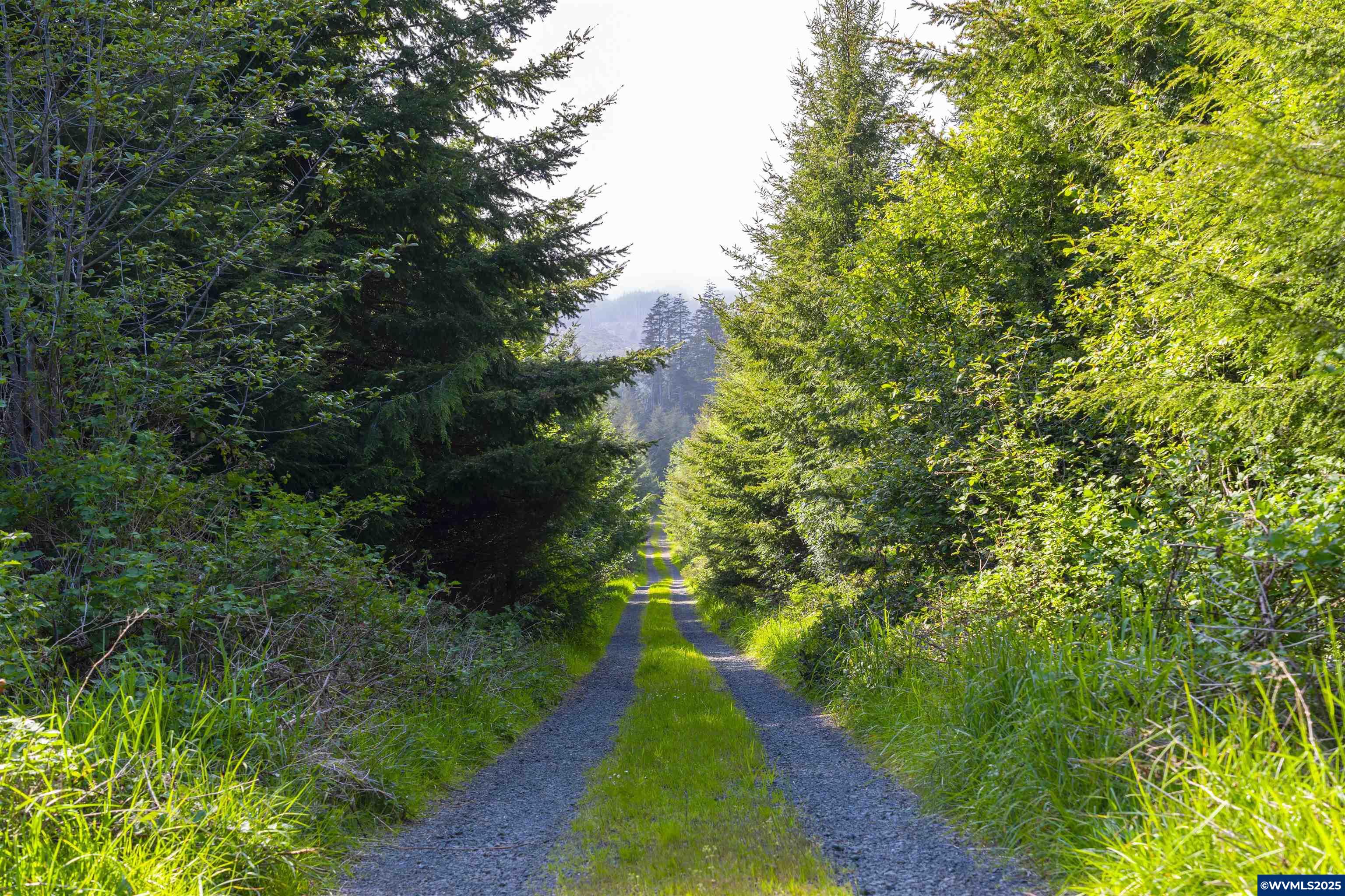Elmer Miller Rd. Treefarm