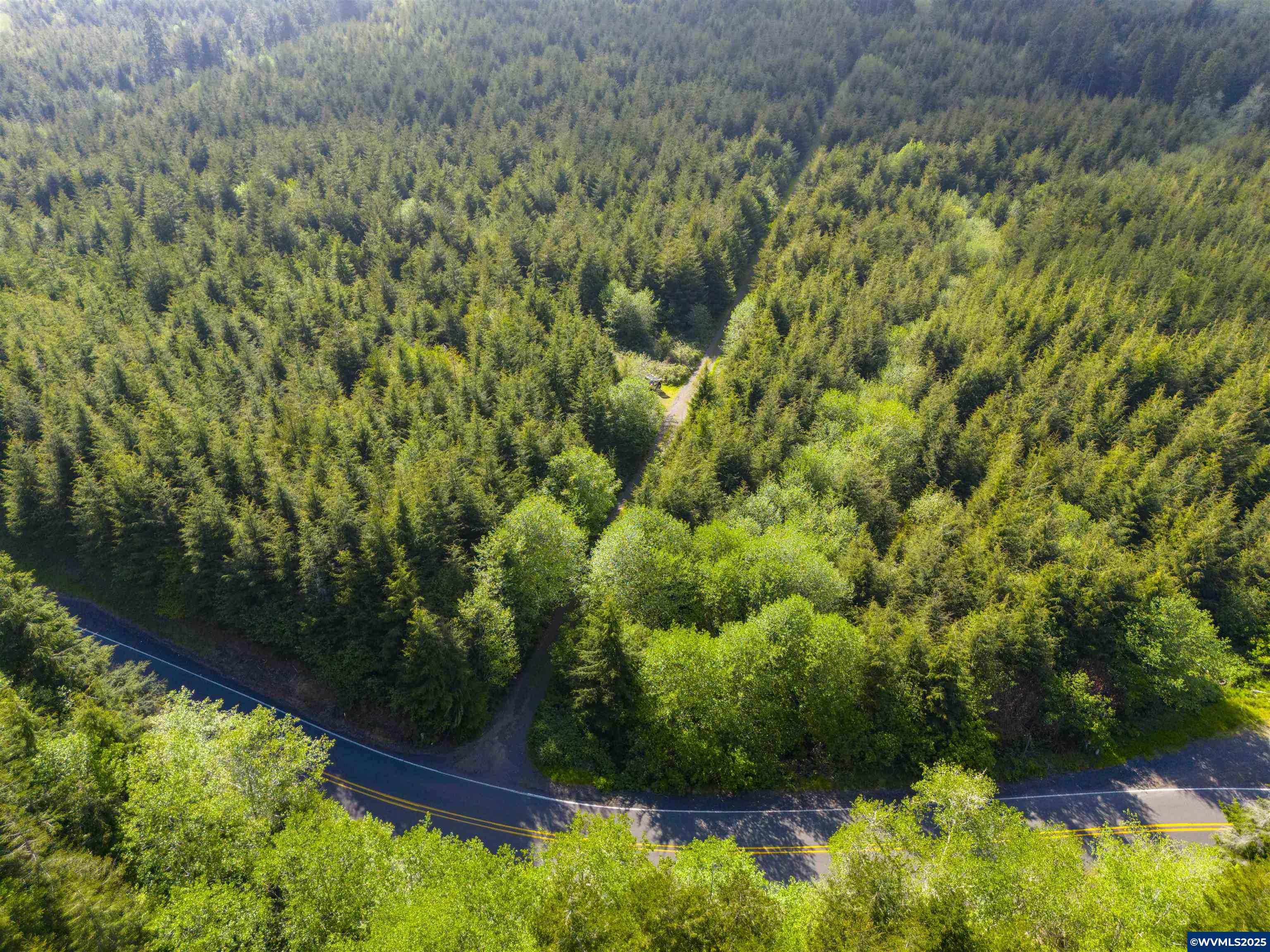 Elmer Miller Rd. Treefarm