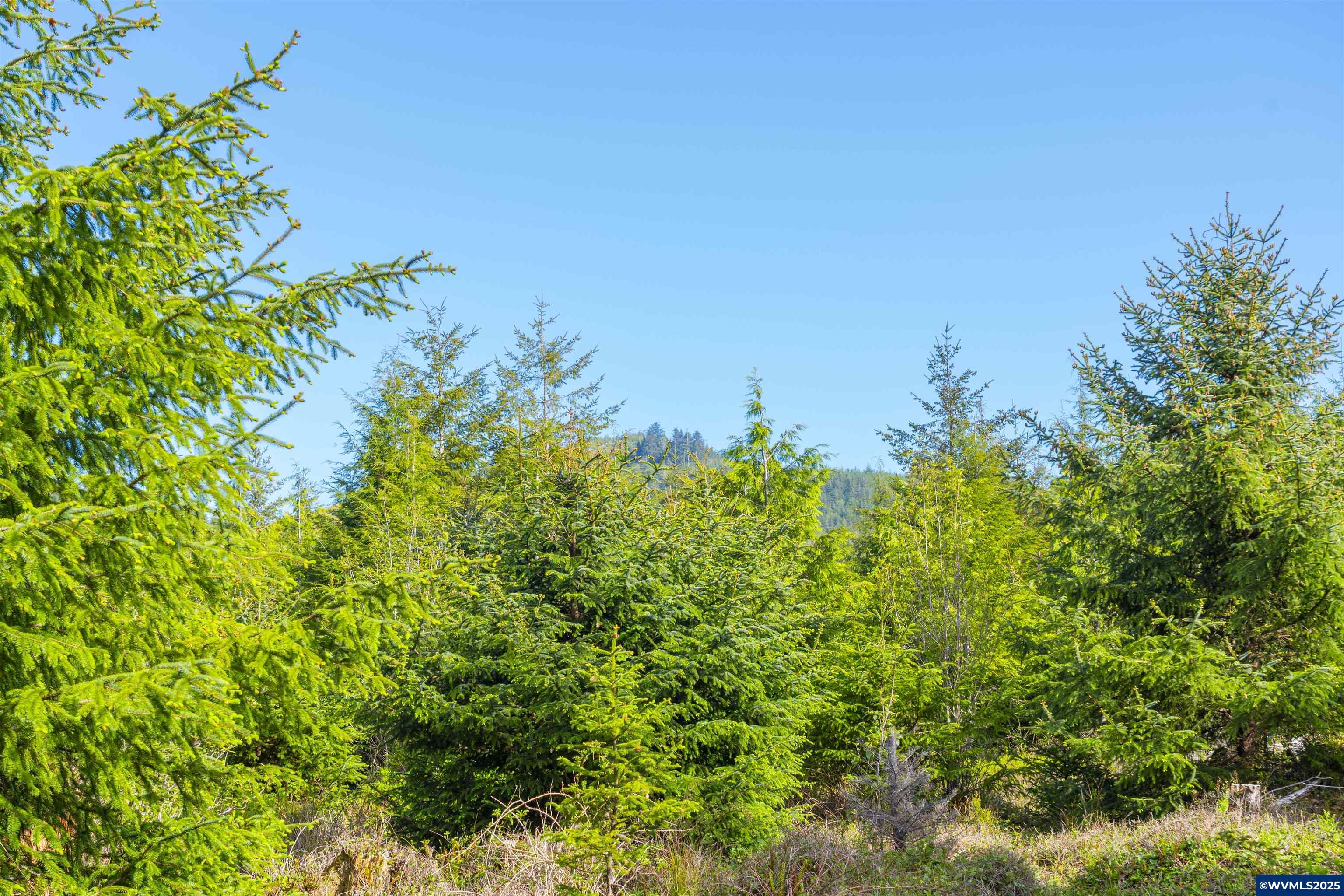 Elmer Miller Rd. Treefarm