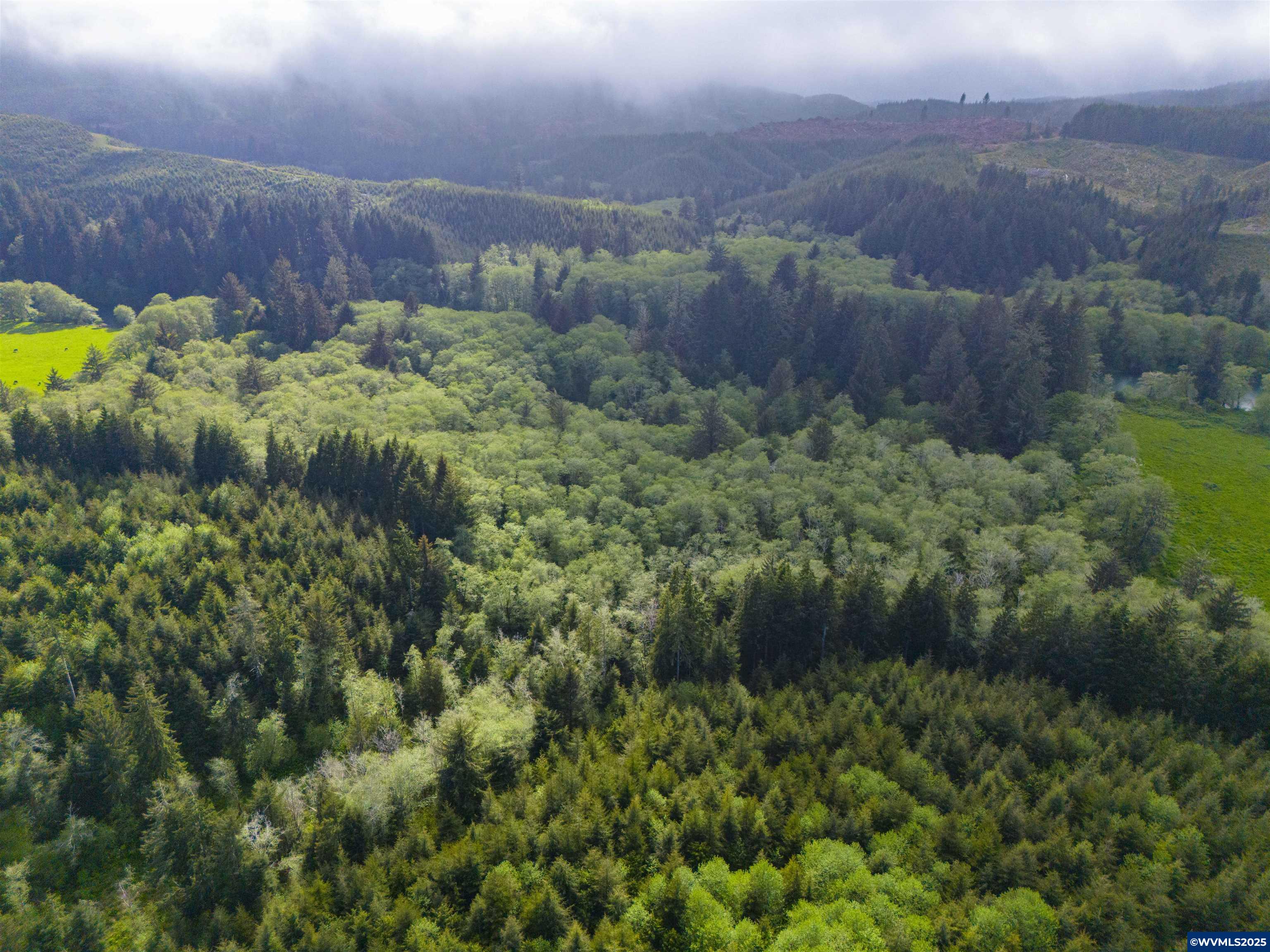 Elmer Miller Rd. Treefarm