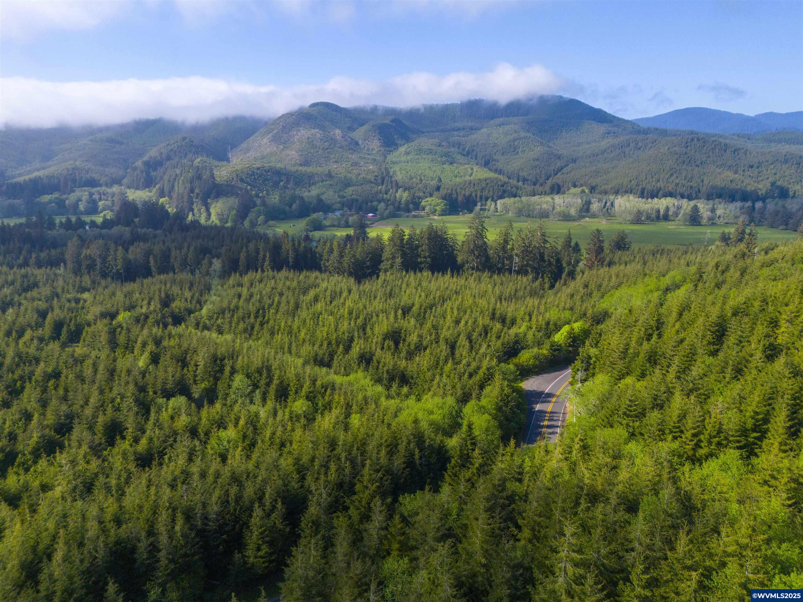 Elmer Miller Rd. Treefarm