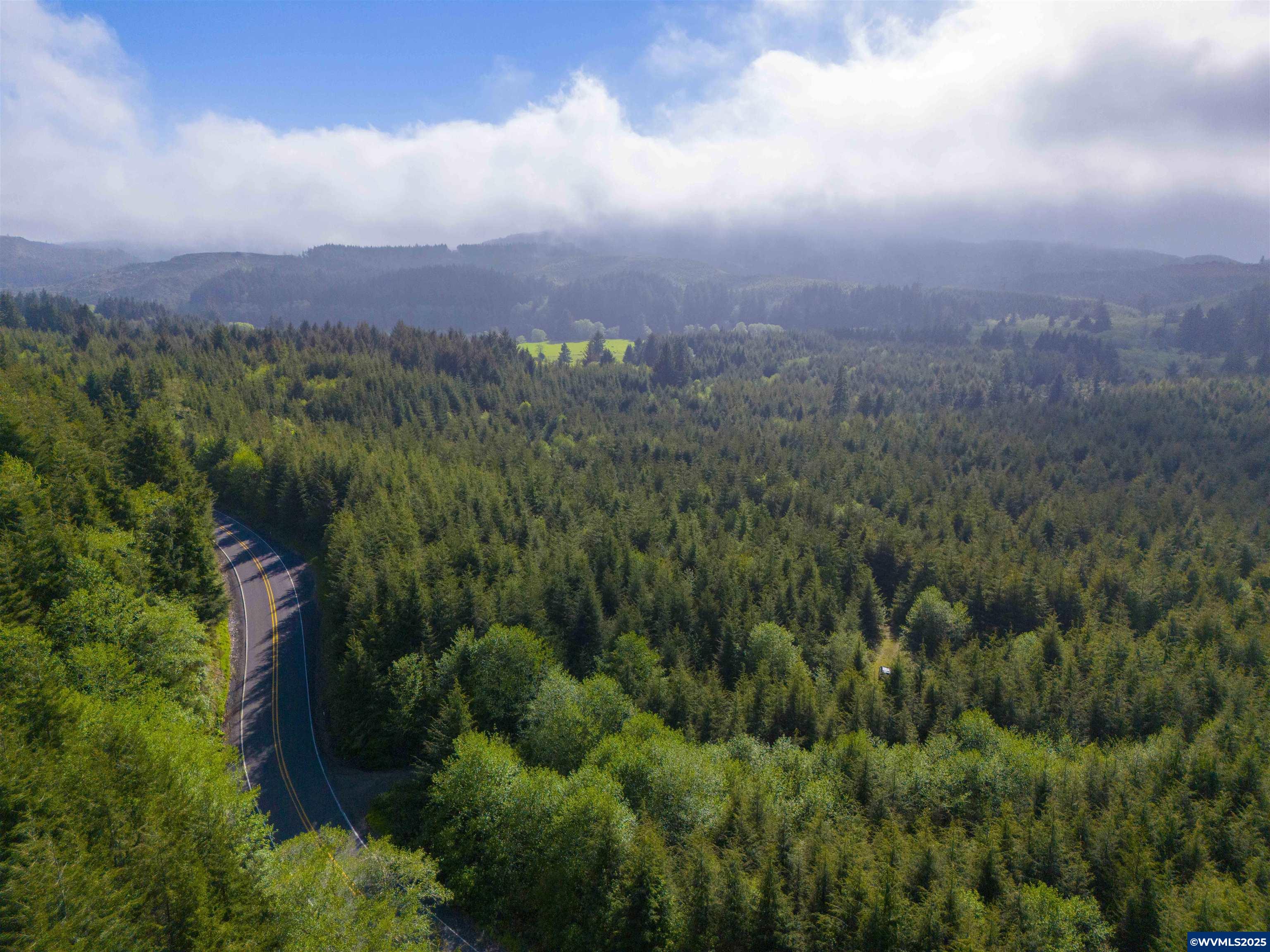 Elmer Miller Rd. Treefarm