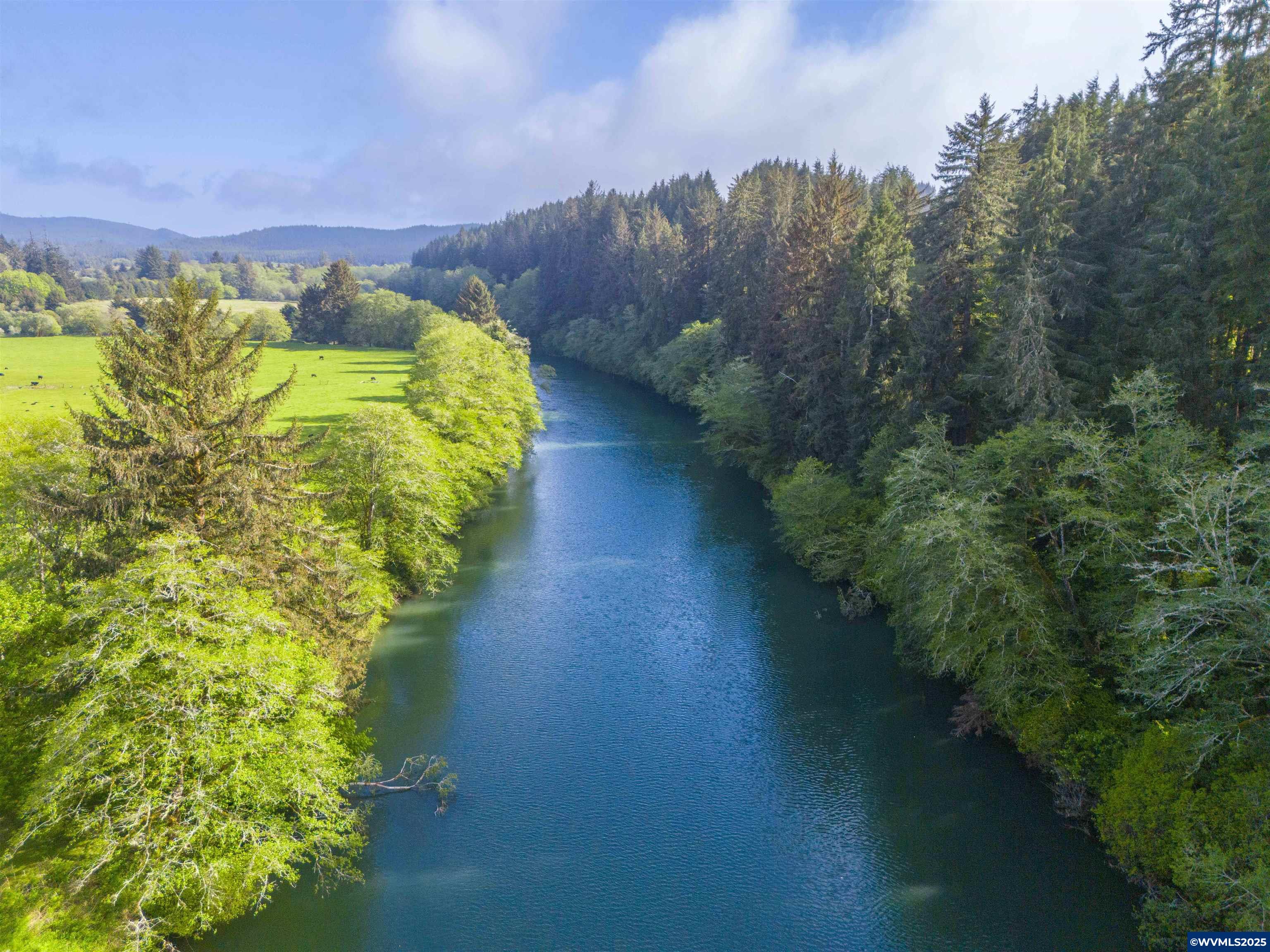 Elmer Miller Rd. Treefarm