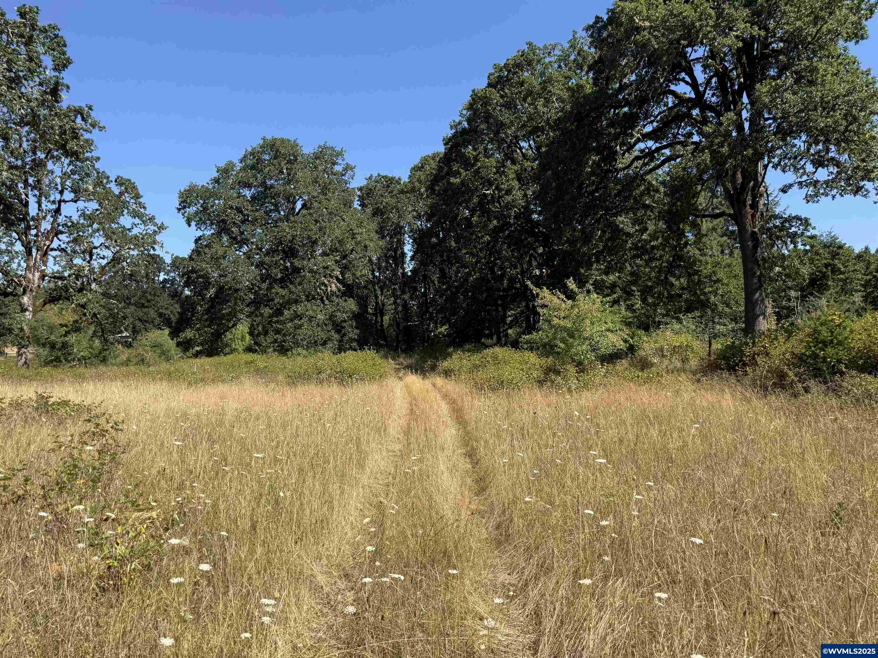 Lot 400/201 Falls City Rd