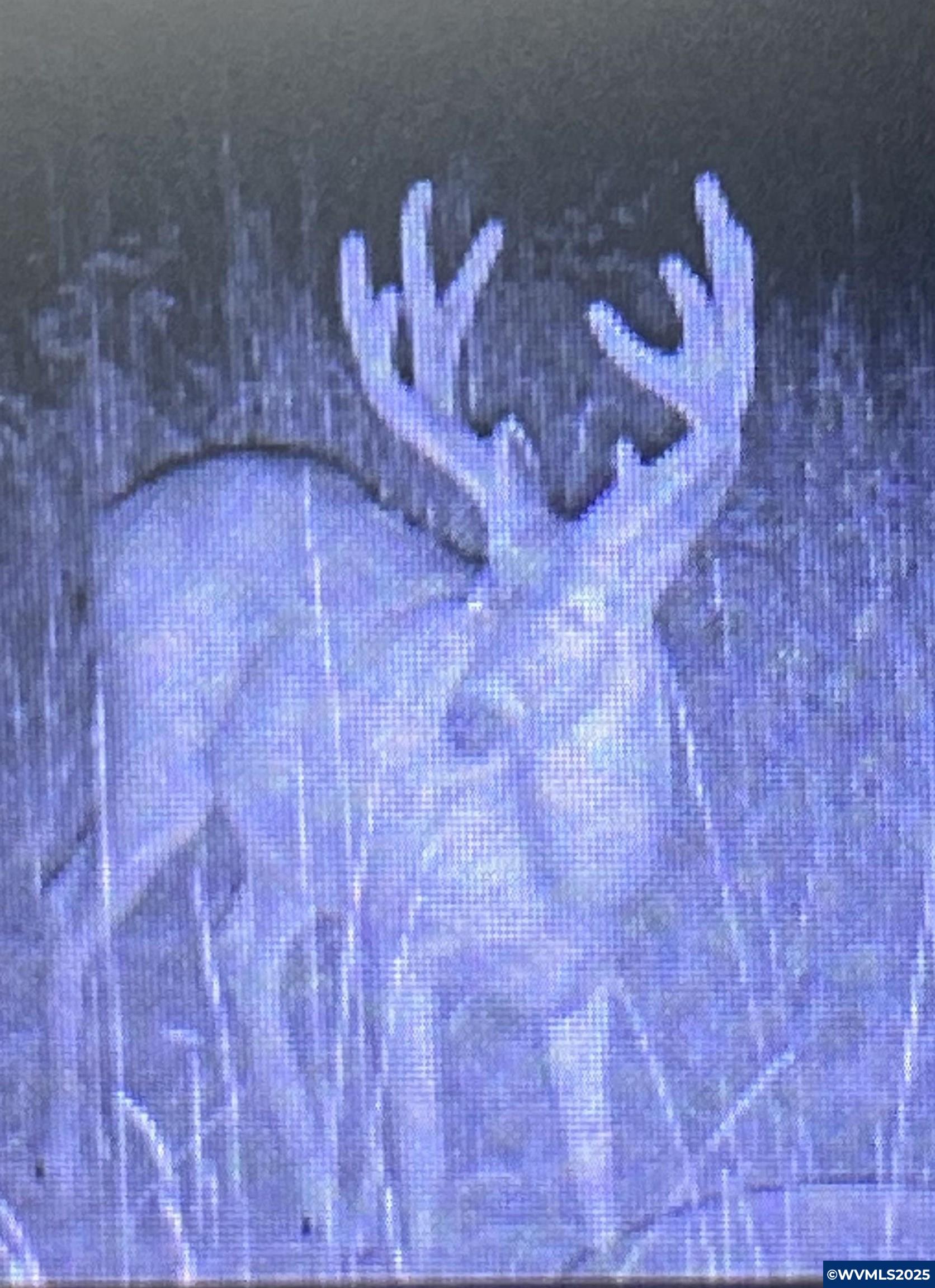 Lot 400/201 Falls City Rd