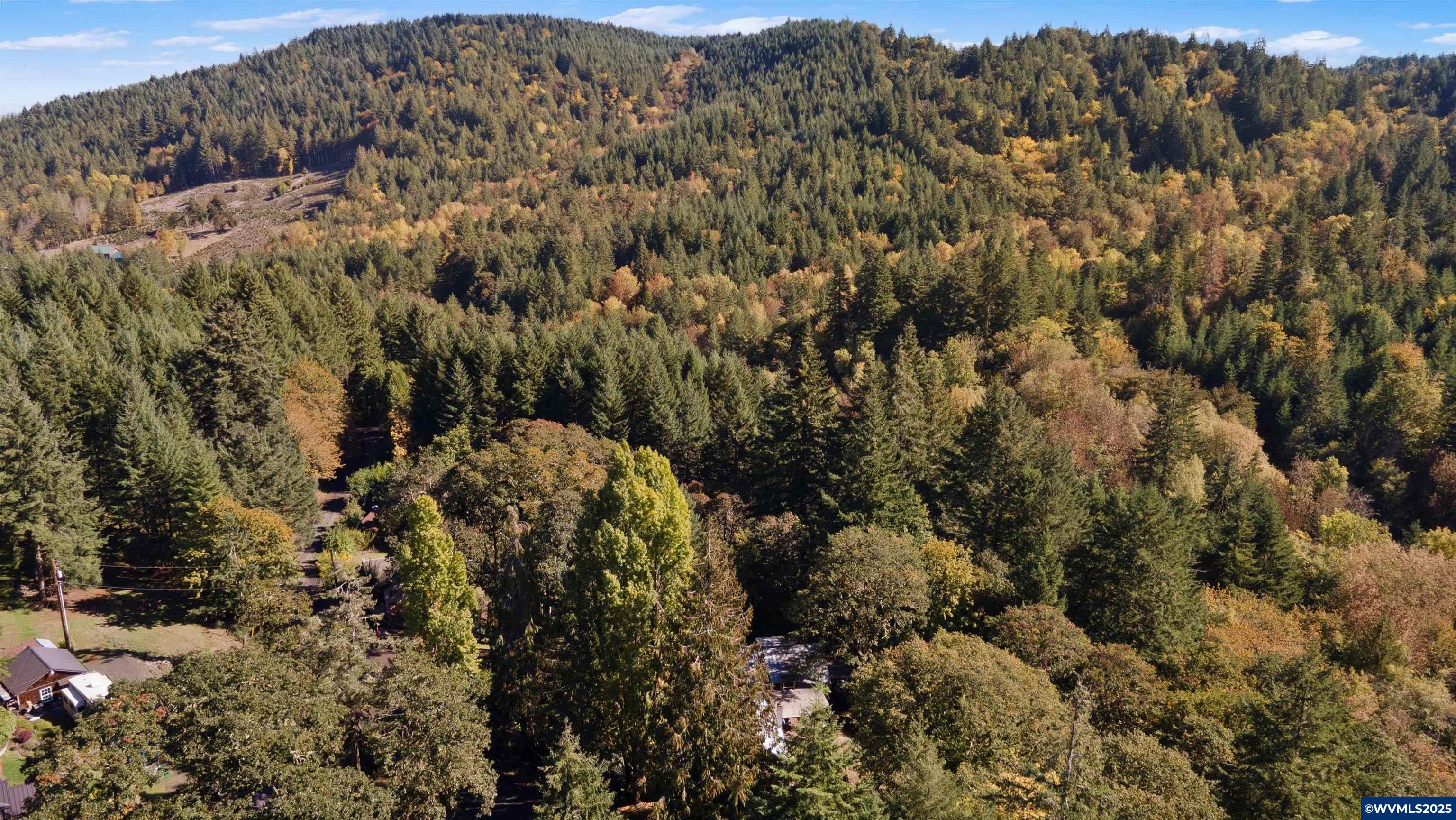 23340 Doane Creek Rd