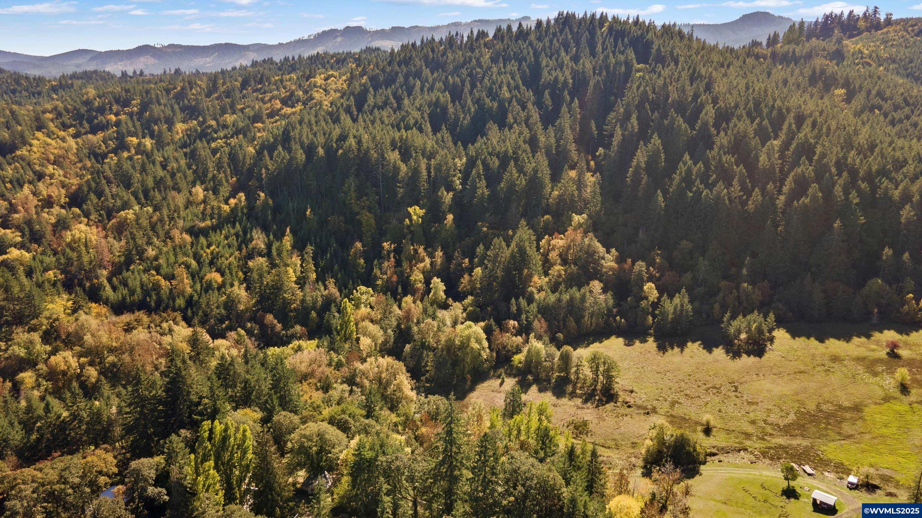 23340 Doane Creek Rd