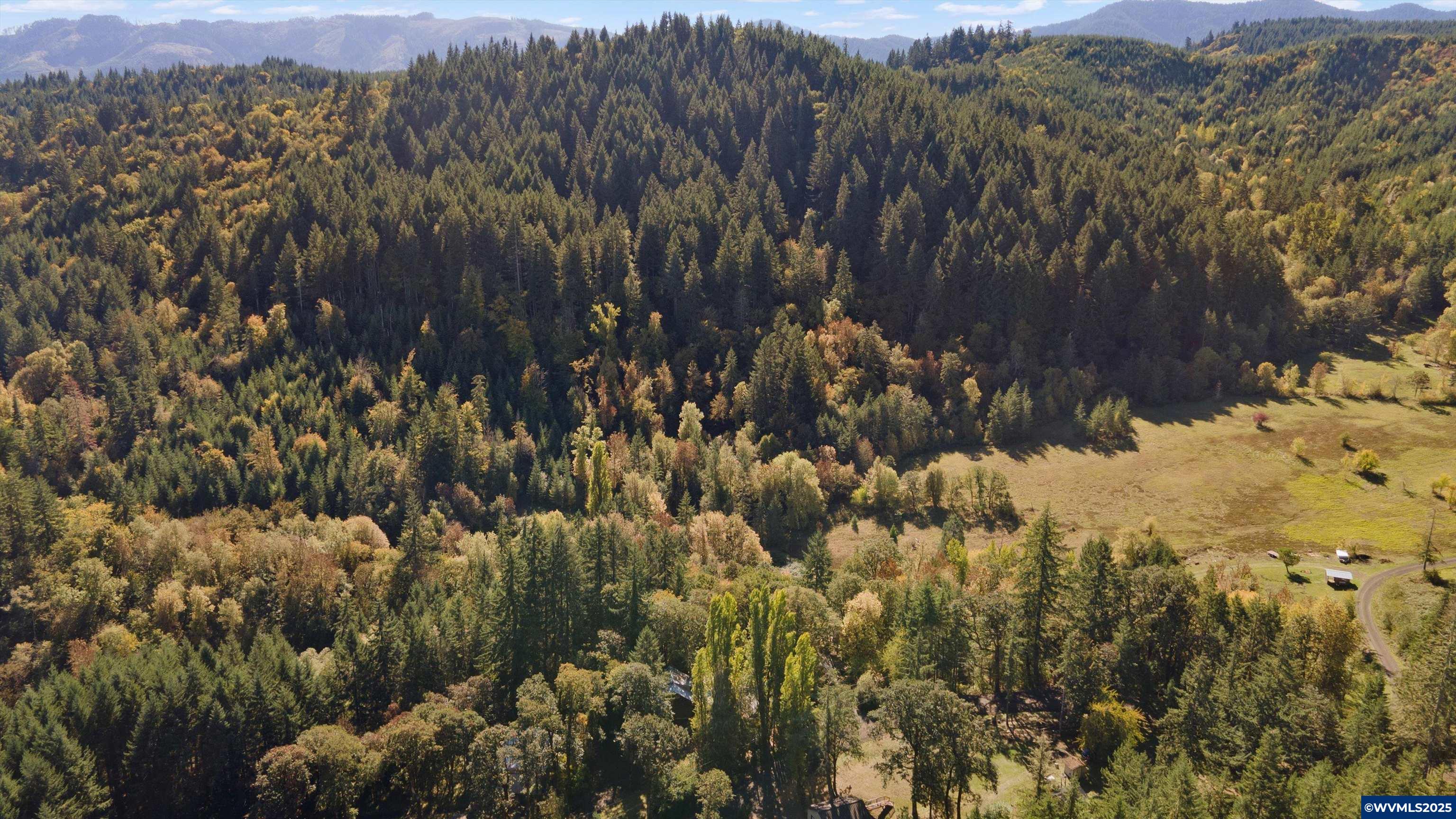 23340 Doane Creek Rd