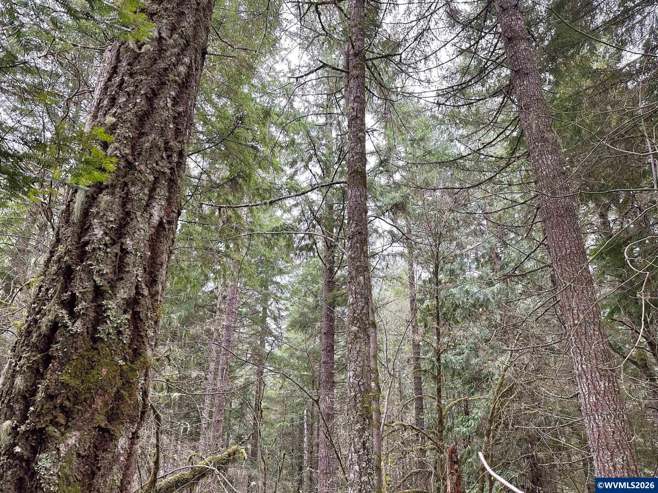 753253 Mosby Creek Rd