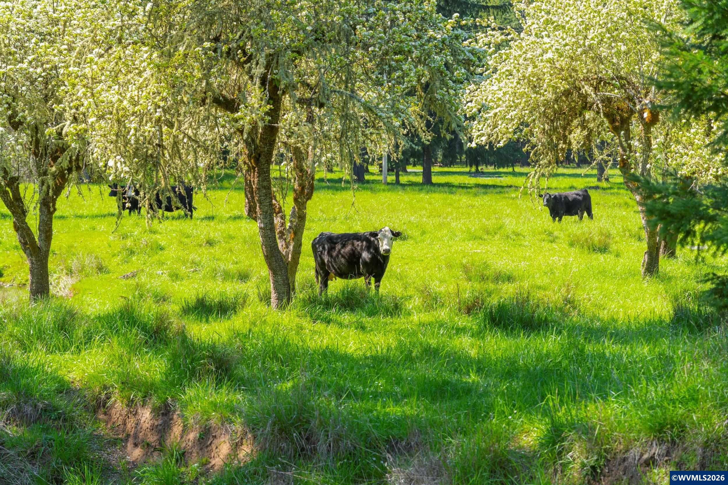 753253 Mosby Creek Rd