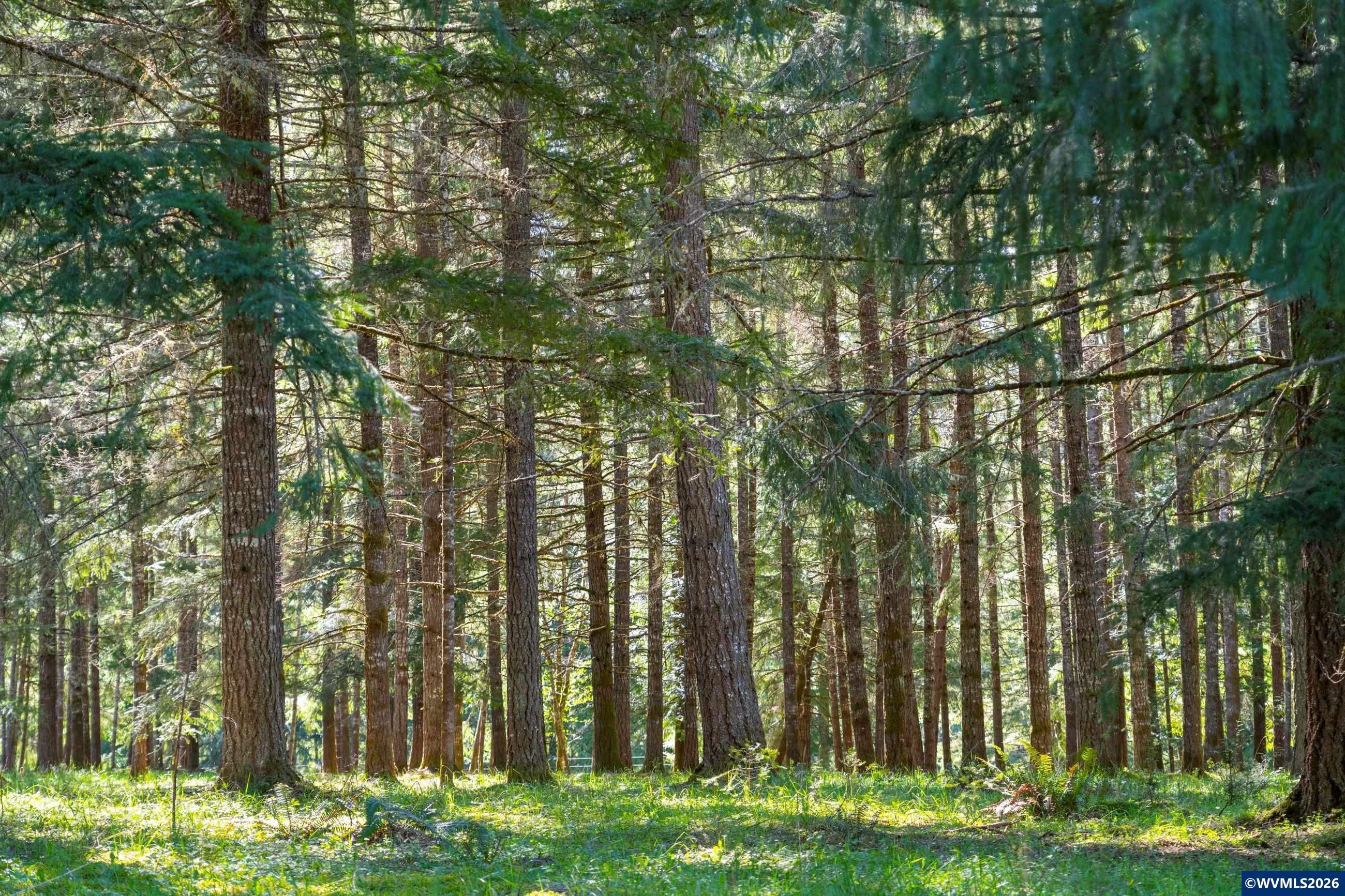 753253 Mosby Creek Rd