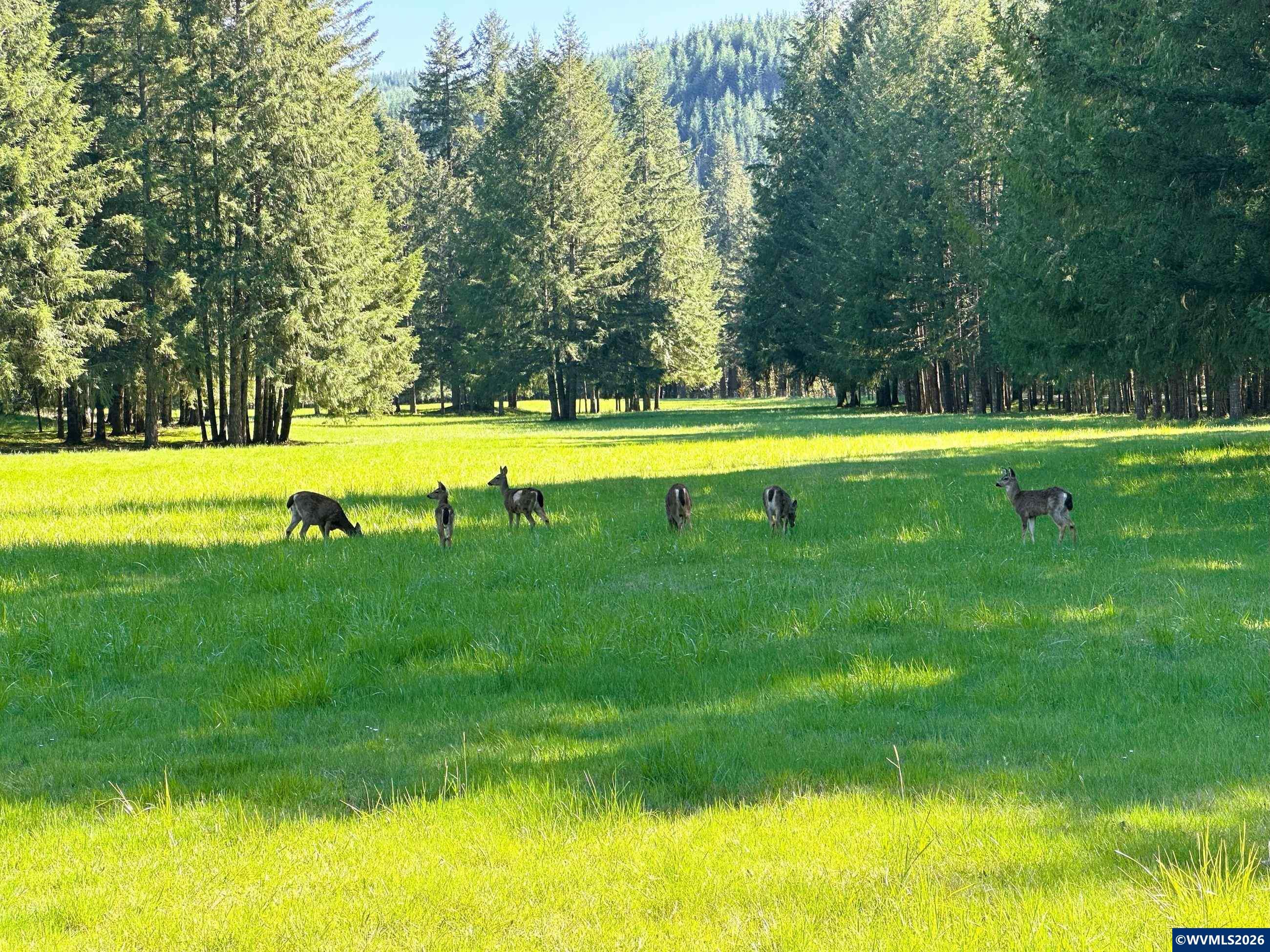 753253 Mosby Creek Rd