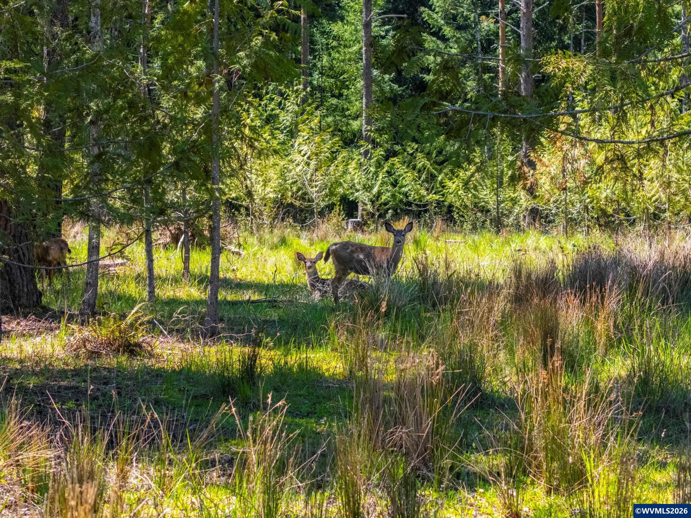 753253 Mosby Creek Rd