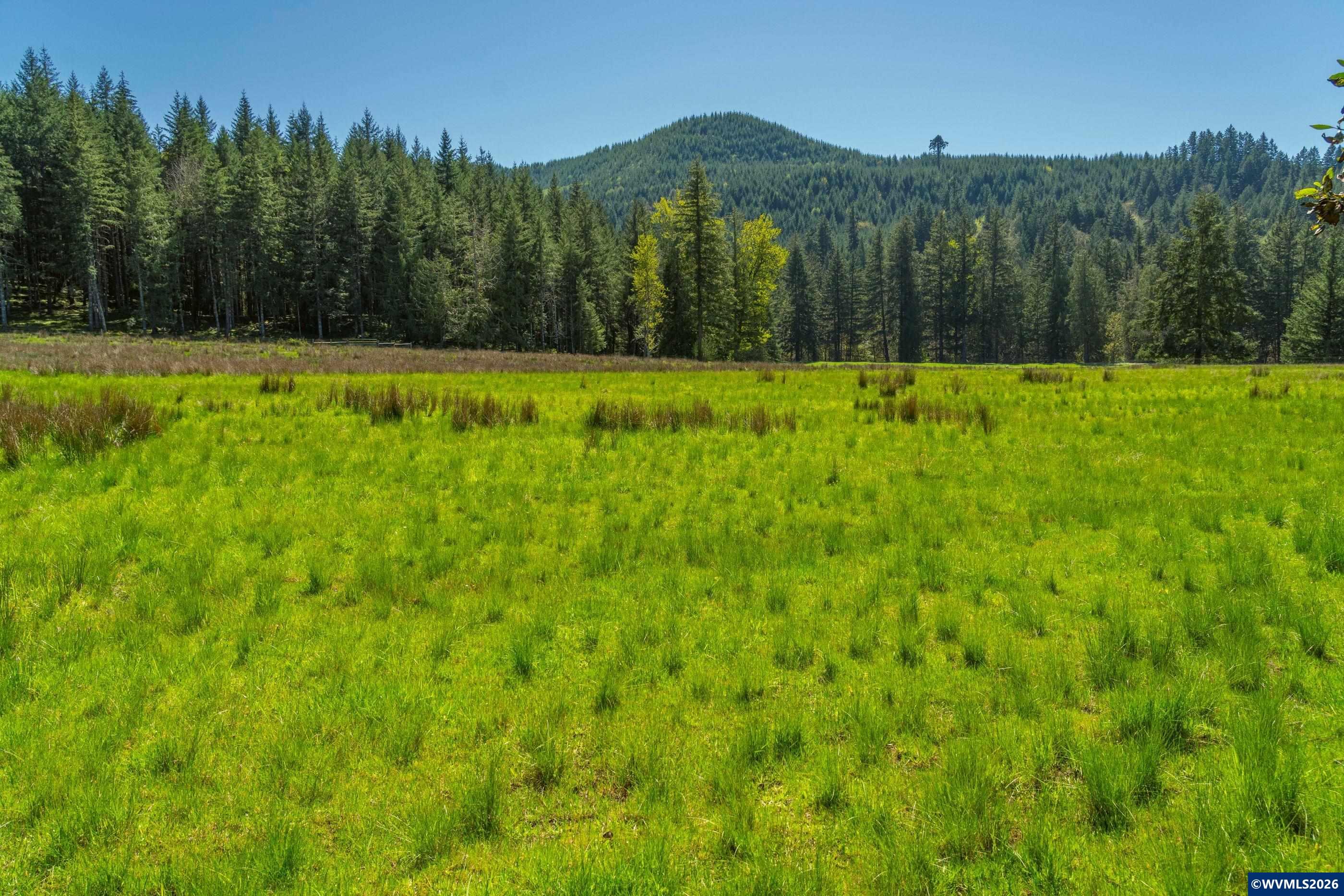 753253 Mosby Creek Rd