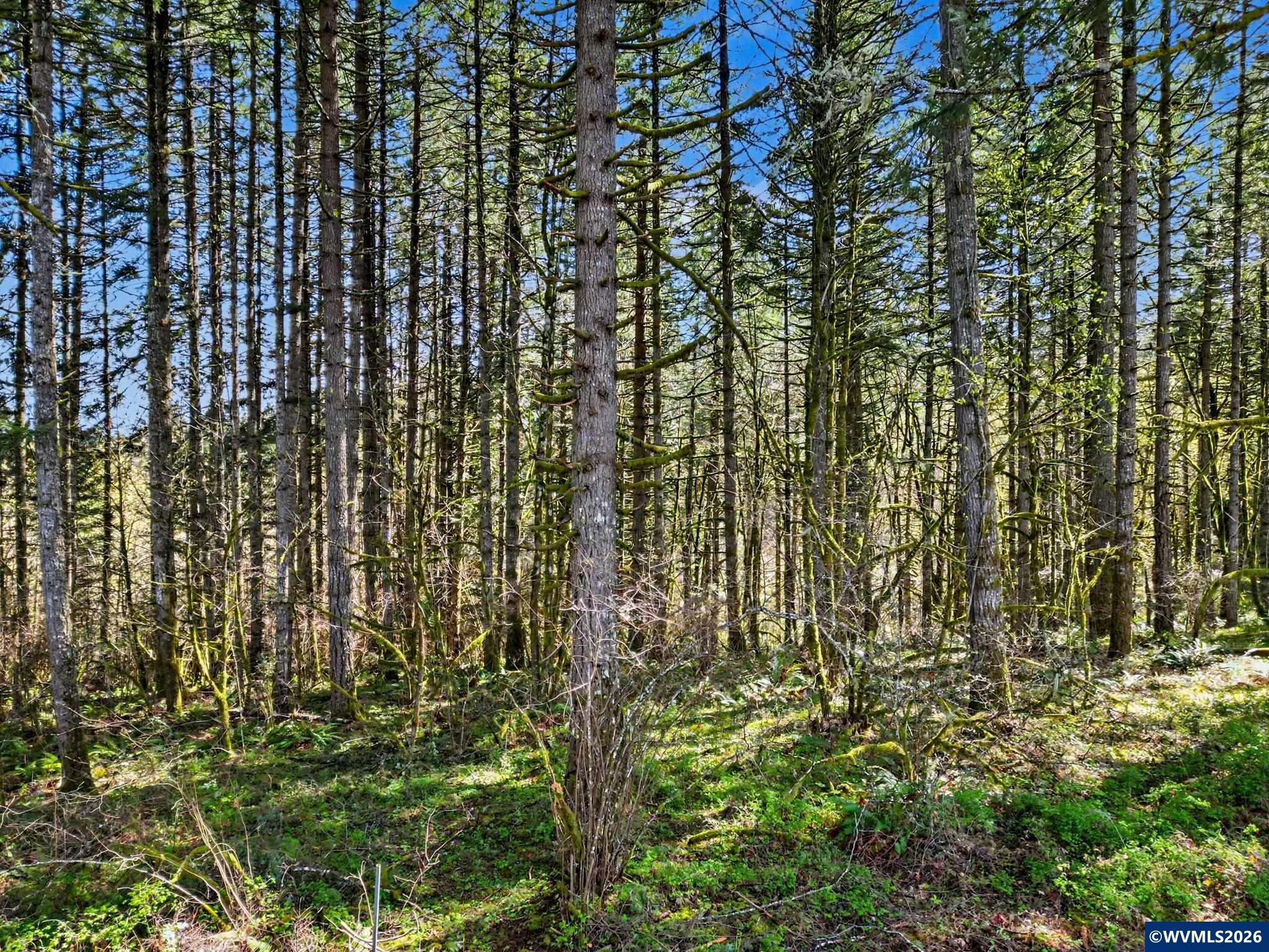 16835 W Ellendale Rd