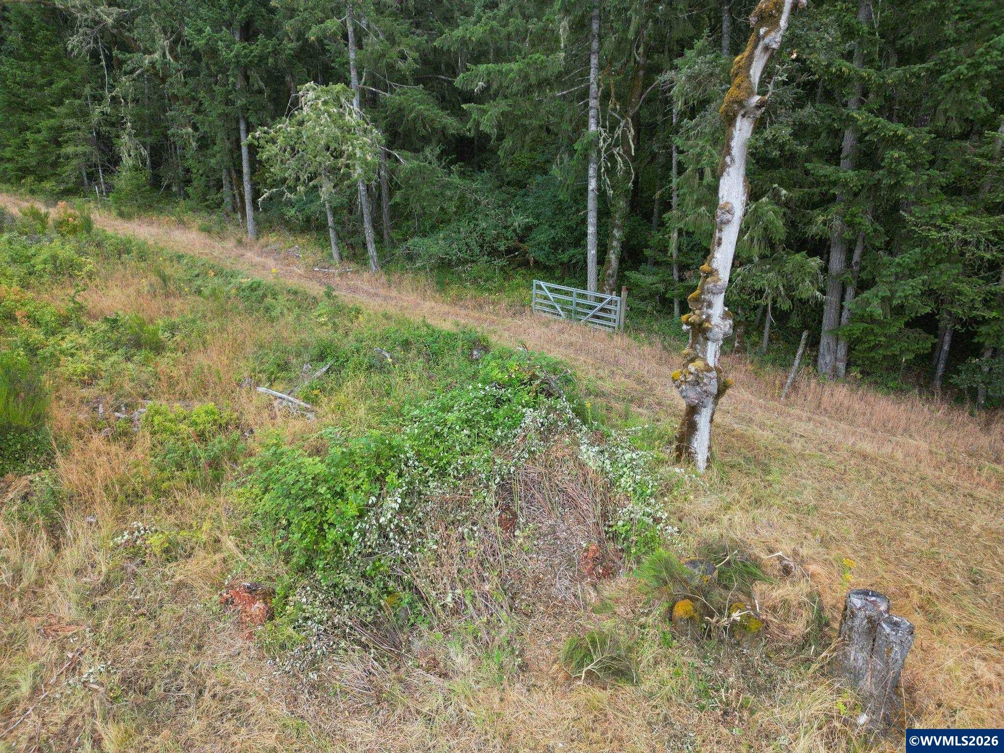 Liberty (Lot26) Rd