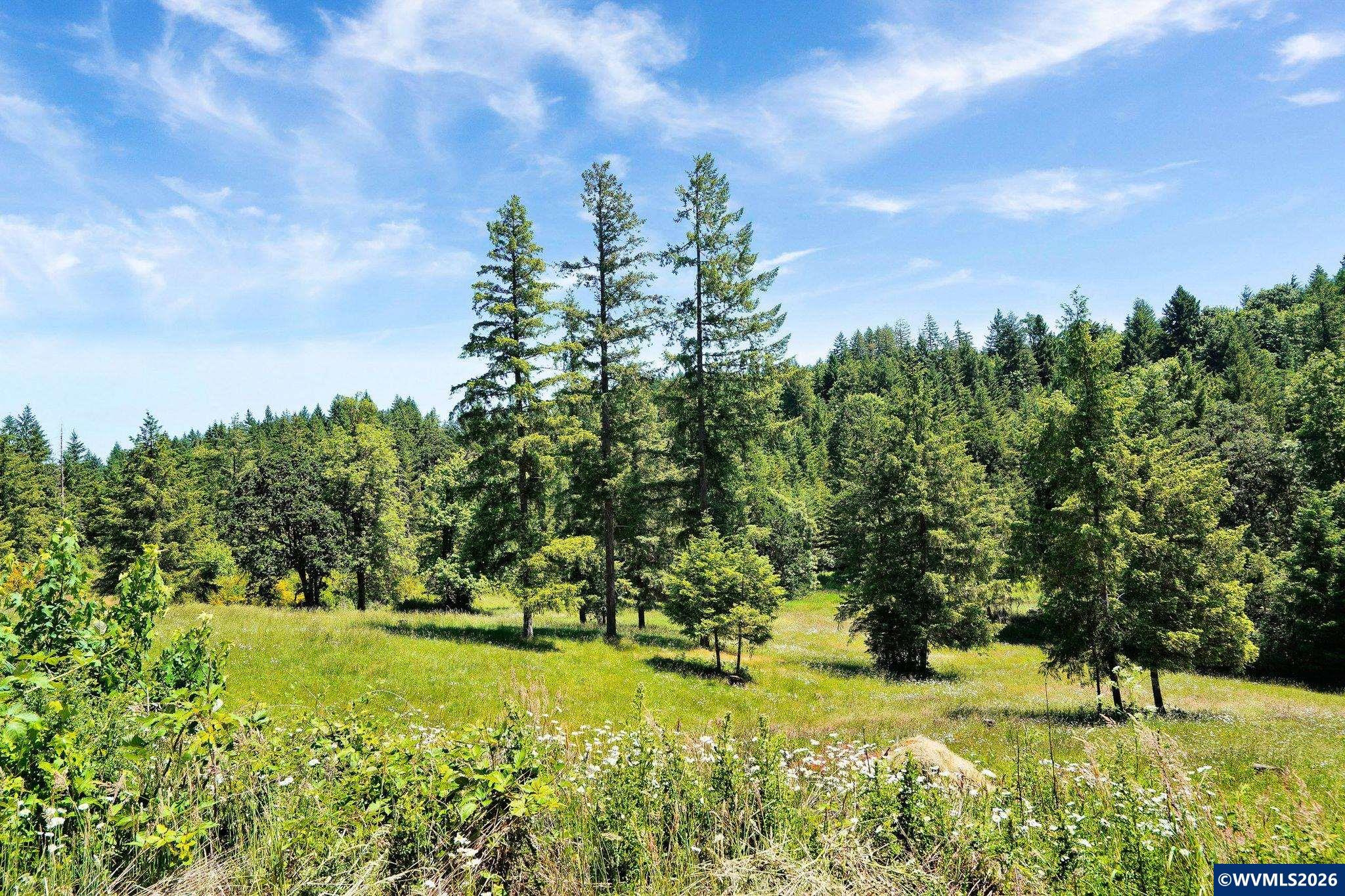6271 Treehouse Rd Rd