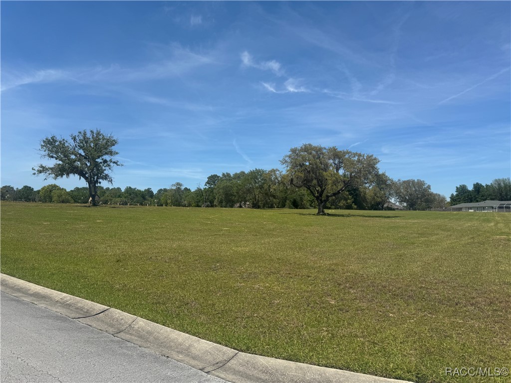 244 N Lake Shenandoah Loop